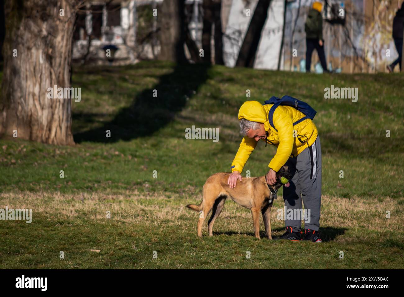 Un homme en veste jaune joue attraper le ballon avec son chien dans la nature, profitant d'un moment énergique et ludique en plein air Banque D'Images