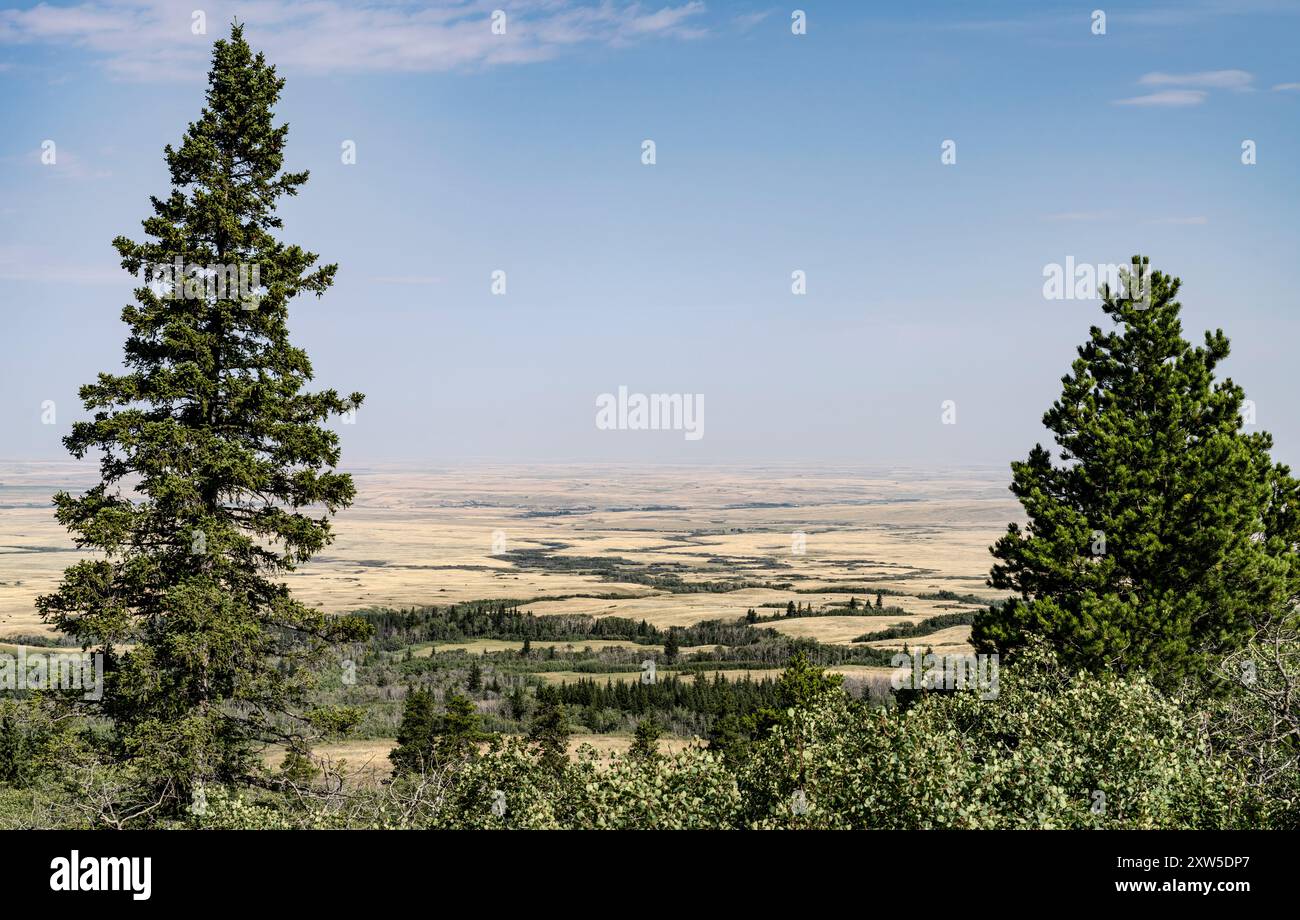 Vue depuis Lookout point dans le parc interprovincial Cypress Hills en Saskatchewan Canada. Banque D'Images