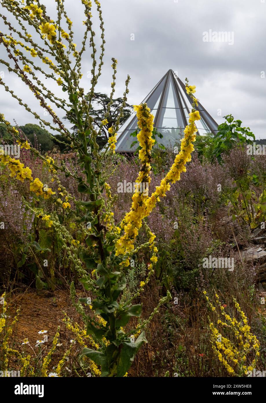 Woolbeding Glasshouse. Conservatoire moderne en forme de pyramide conçu par Thomas Heatherwick, inspiré par la forme d'un terrarium victorien. Banque D'Images