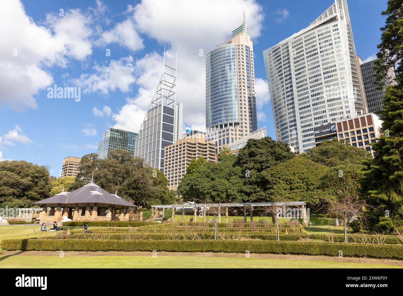 Sydney Royal Botanic Gardens avec vue sur le centre-ville de Sydney et gratte-ciel immeubles de bureaux sur Macquarie Street, Sydney, Nouvelle-Galles du Sud, Australie Banque D'Images