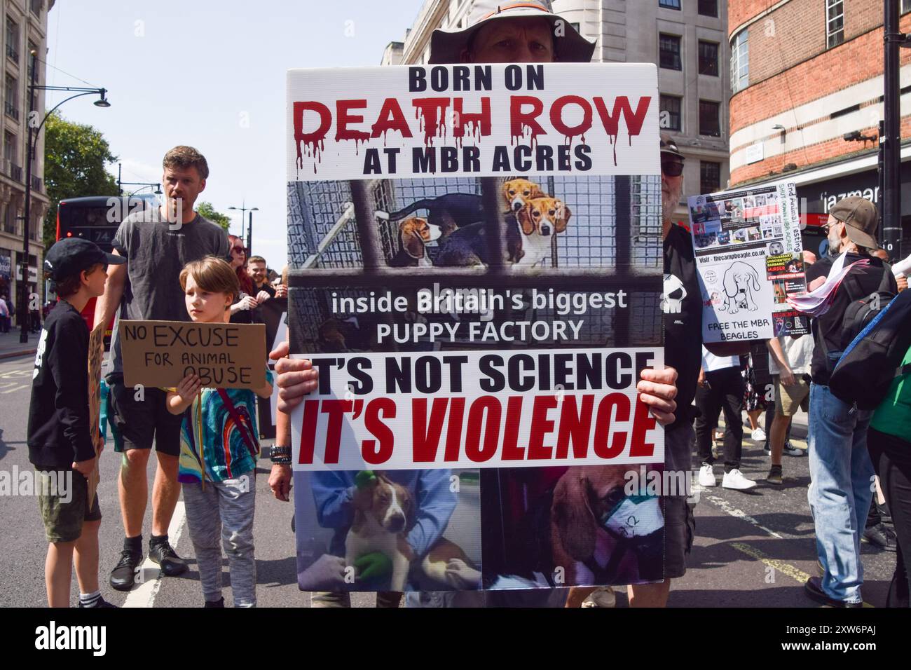 Londres, Angleterre, Royaume-Uni. 17 août 2024. Un manifestant tient une pancarte opposée à l'installation d'élevage de beagle MBR acres lors de la National animal Rights March dans le centre de Londres. La manifestation annuelle met en lumière la souffrance et la mort de milliards d'animaux dans tous les domaines de l'activité humaine, lutte pour la libération des animaux et pour la fin de l'exploitation animale, et promeut le véganisme et un mode de vie sans cruauté. (Crédit image : © Vuk Valcic/ZUMA Press Wire) USAGE ÉDITORIAL SEULEMENT! Non destiné à UN USAGE commercial ! Banque D'Images