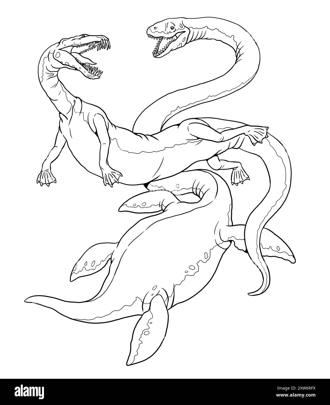 Combat entre deux dinosaures sous-marins. Nothosaurus attaque l'Elasmosaurus. Coloriage avec des animaux préhistoriques. Banque D'Images