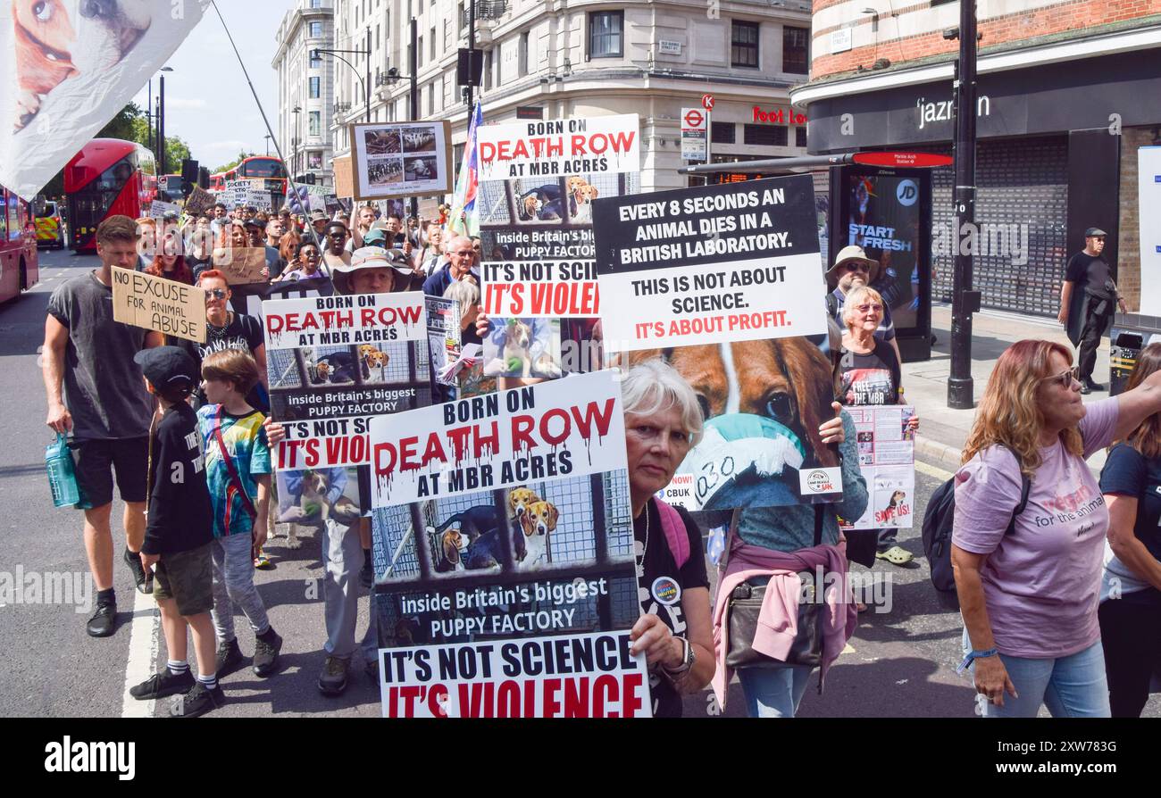 Londres, Angleterre, Royaume-Uni. 17 août 2024. Les manifestants tiennent des pancartes s'opposant à l'élevage de beagle MBR acres lors de la marche nationale pour les droits des animaux dans le centre de Londres. La manifestation annuelle met en lumière la souffrance et la mort de milliards d'animaux dans tous les domaines de l'activité humaine, lutte pour la libération des animaux et pour la fin de l'exploitation animale, et promeut le véganisme et un mode de vie sans cruauté. (Crédit image : © Vuk Valcic/ZUMA Press Wire) USAGE ÉDITORIAL SEULEMENT! Non destiné à UN USAGE commercial ! Banque D'Images