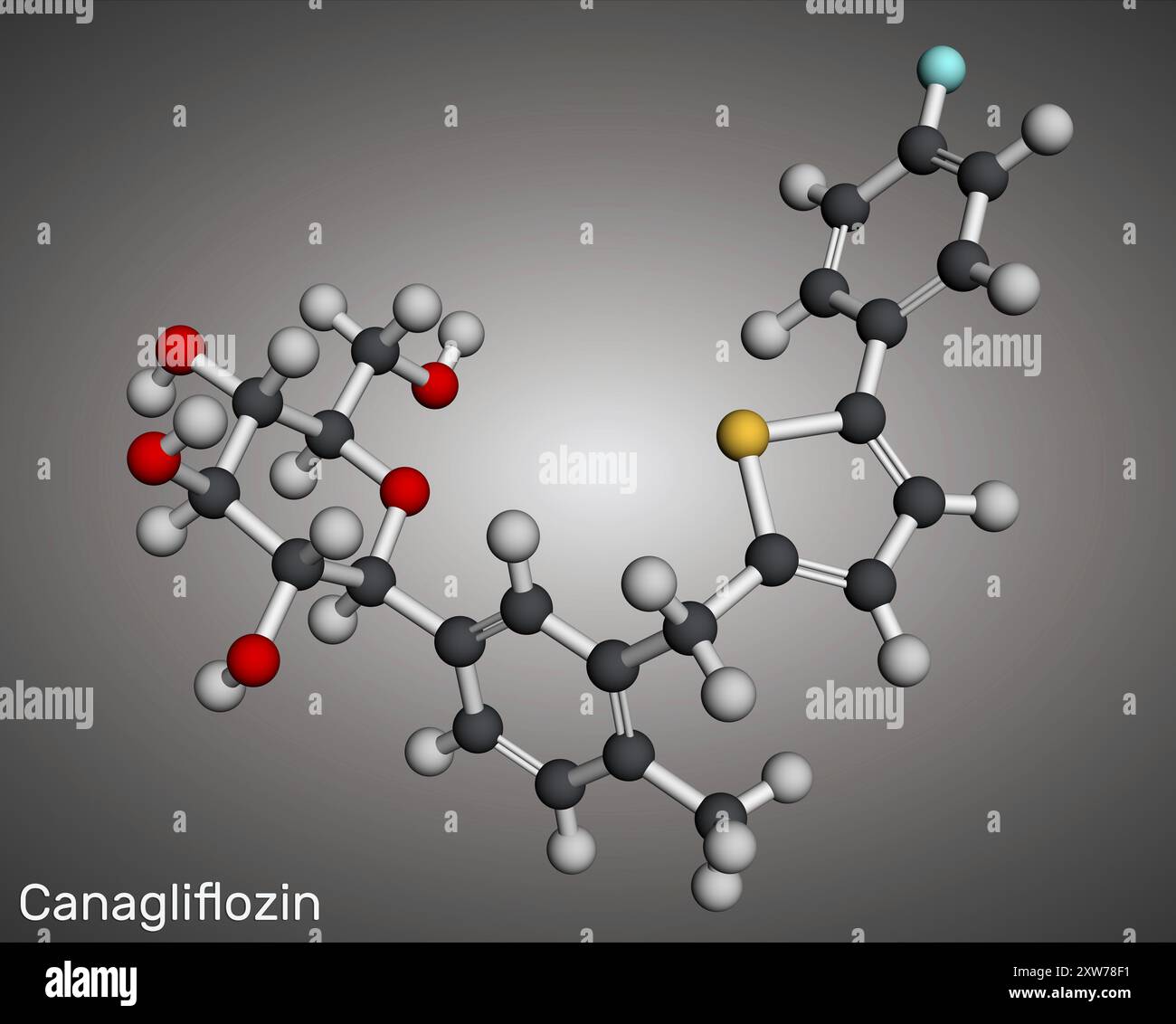 Molécule de canagliflozine. C'est un médicament antidiabétique, inhibiteur SGLT2. Modèle moléculaire. Rendu 3D. Illustration Banque D'Images