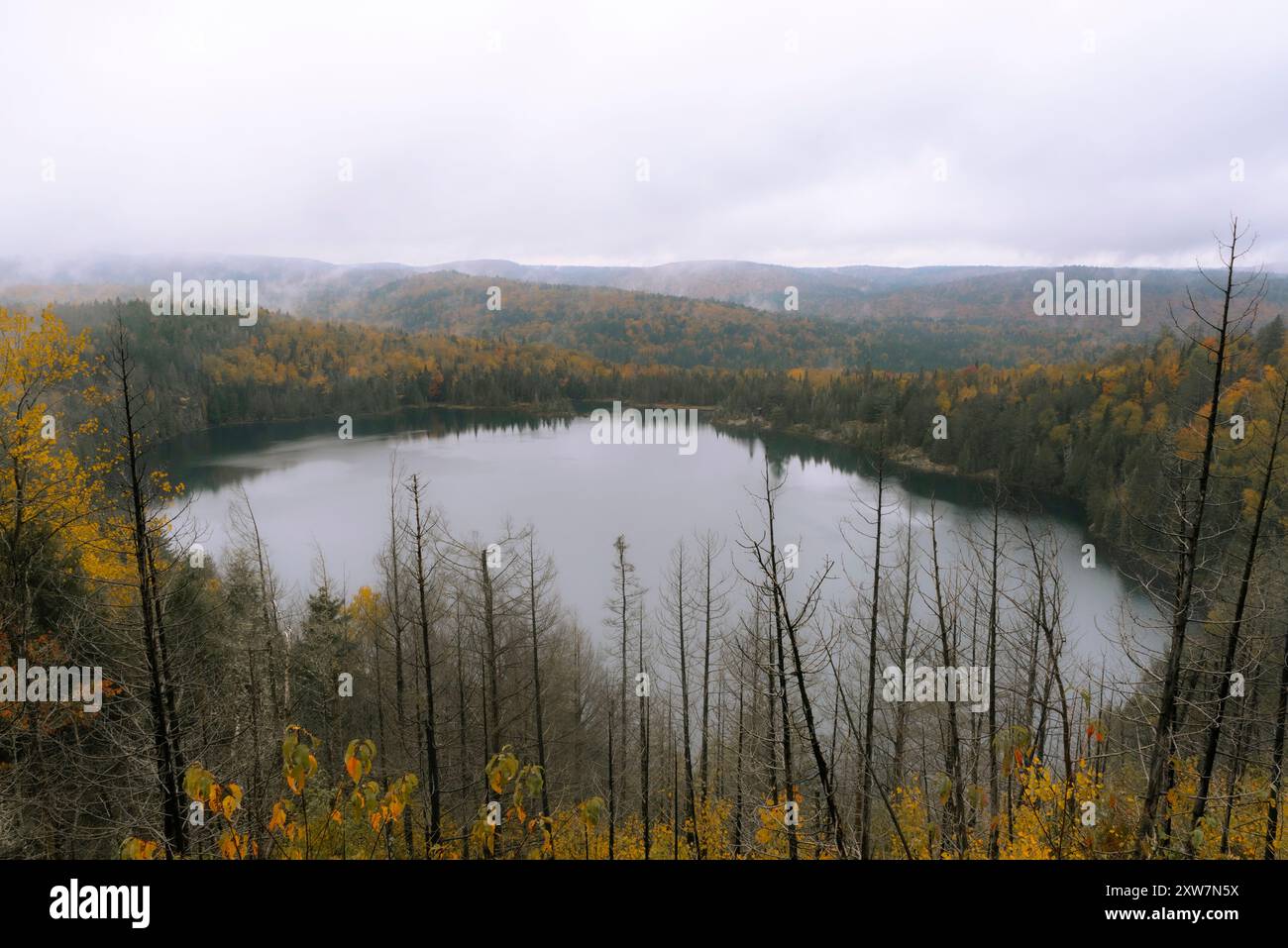 Parc national Maurice au Québec par un jour pluvieux d'automne Banque D'Images