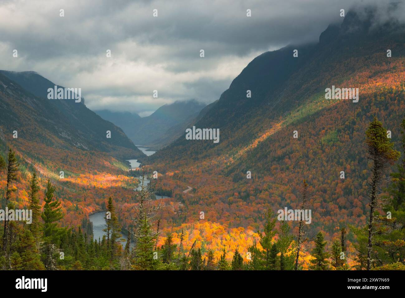 Feuillage d'automne dans le parc national de la rivière Malbais Banque D'Images