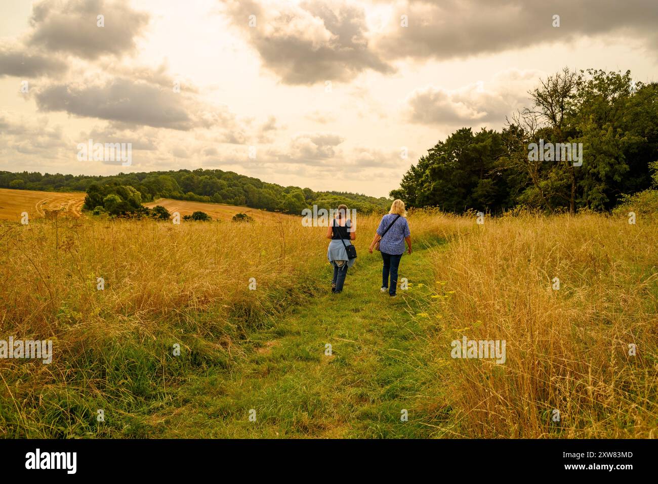 Deux amies femmes marchant dans la campagne anglaise en été Banque D'Images