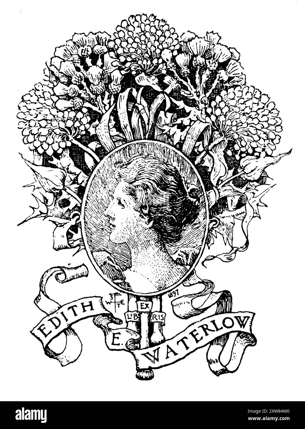 Bibliothèque portrait 1897 pour Edith Emma Waterlow conçue par Joseph Walter West, artiste du Suffolk Banque D'Images