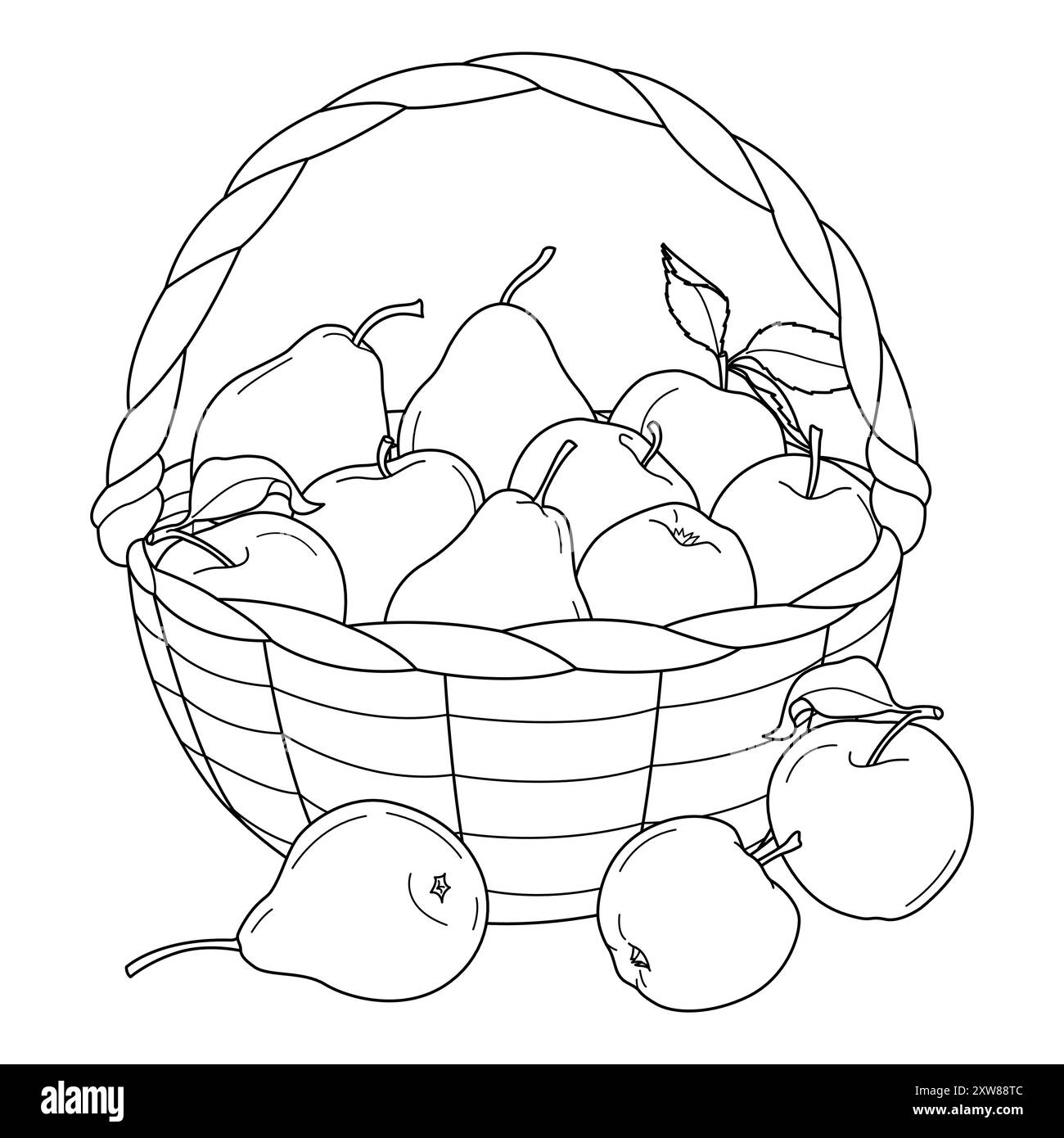 Panier de fruits avec pommes et poires coloriage page pour enfants et adultes. récoltez les pommes et les poires. Illustration vectorielle en noir et blanc dessinée à la main Illustration de Vecteur