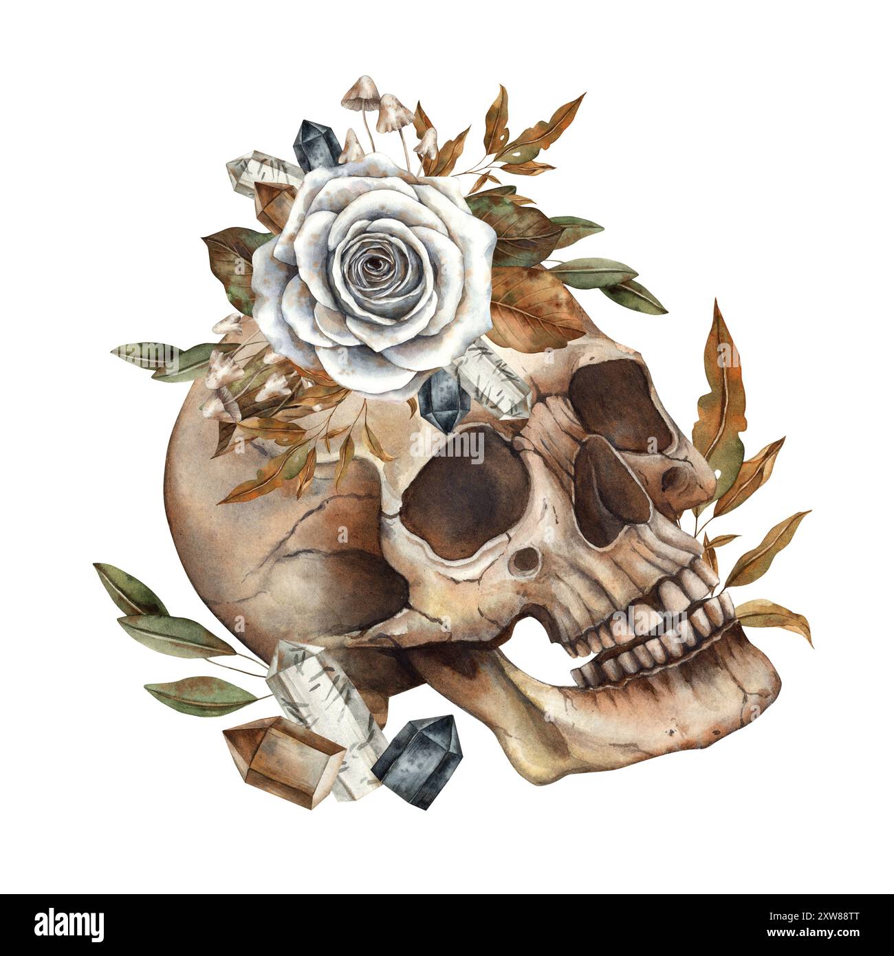 Crâne avec roses blanches, feuilles vertes et d'automne, cristaux scintillants et champignons. Illustration aquarelle dessinée à la main dans le style gothique pour Halloween d Banque D'Images