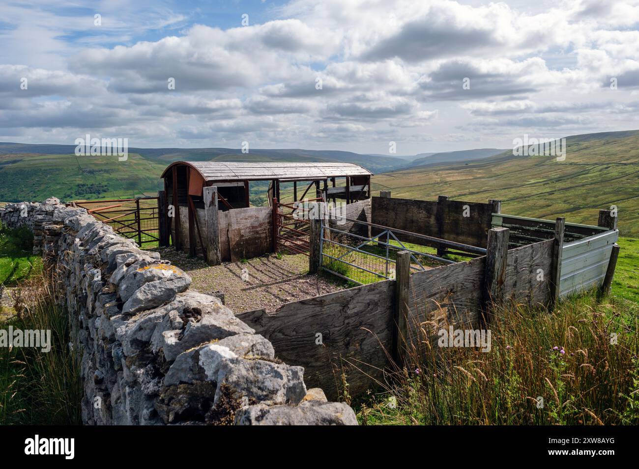 Un vieux wagon de chemin de fer utilisé comme abri de ferme, Buttertubs Pass, Yorkshire Dales National Park, North Yorkshire Banque D'Images