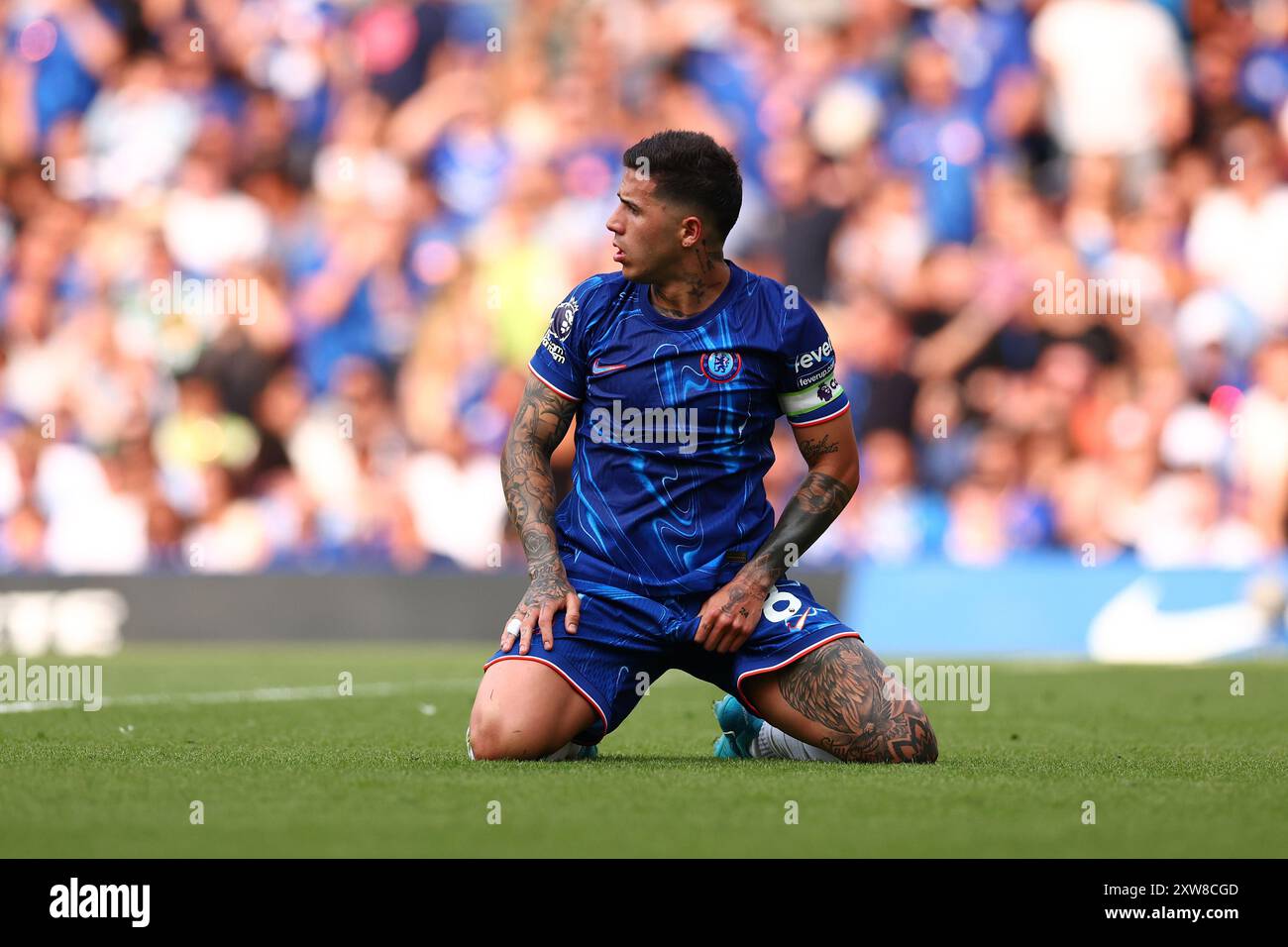 Stamford Bridge, Chelsea, Londres, Royaume-Uni. 18 août 2024. Premier League Football, Chelsea contre Manchester City ; Enzo Fernandez de Chelsea lance un appel pour un crédit de pénalité : action plus Sports/Alamy Live News Banque D'Images