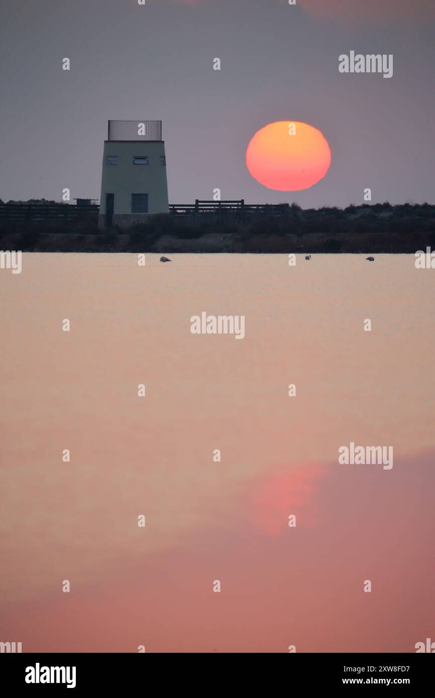 Lever de soleil sur les salines de San Pedro del Pinatar, région de Murcie, Espagne, avec le soleil reflété sur l'eau rose calme de la lagune Banque D'Images