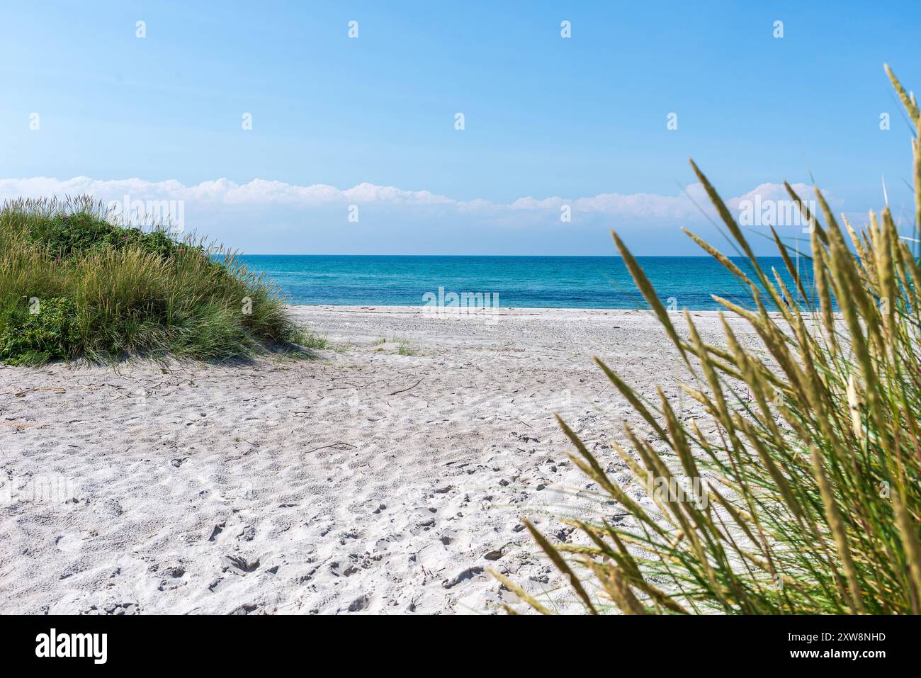 Dänemark, Anholt, Segeln in Dänemark, 29 juin 2024 : Ein Hauch von Karibik-Flair weht über den den Strand von Anholt, während die Brandung des Kattegats an den weißen Sandstrand spült. Segeln à Dänemark *** Danemark, Anholt, voile au Danemark, 29 06 2024 Une touche de flair caribéen se répand sur la plage d'Anholt, tandis que le surf du Kattegat se répand sur la plage de sable blanc voile au Danemark Banque D'Images