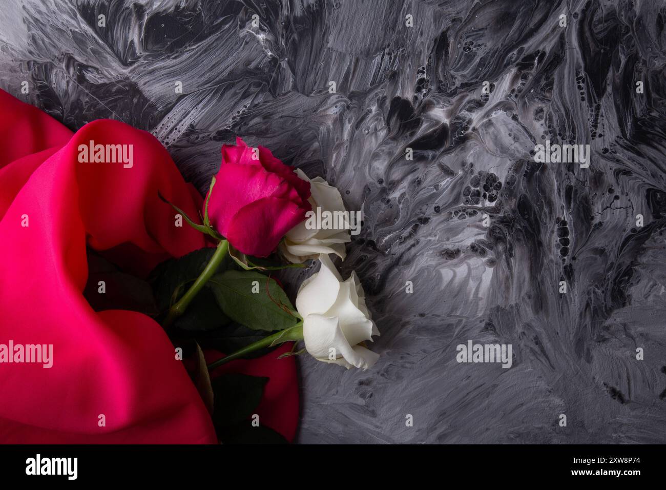 Roses blanches et roses sur texture monochrome abstraite avec tissu rouge vif. Banque D'Images