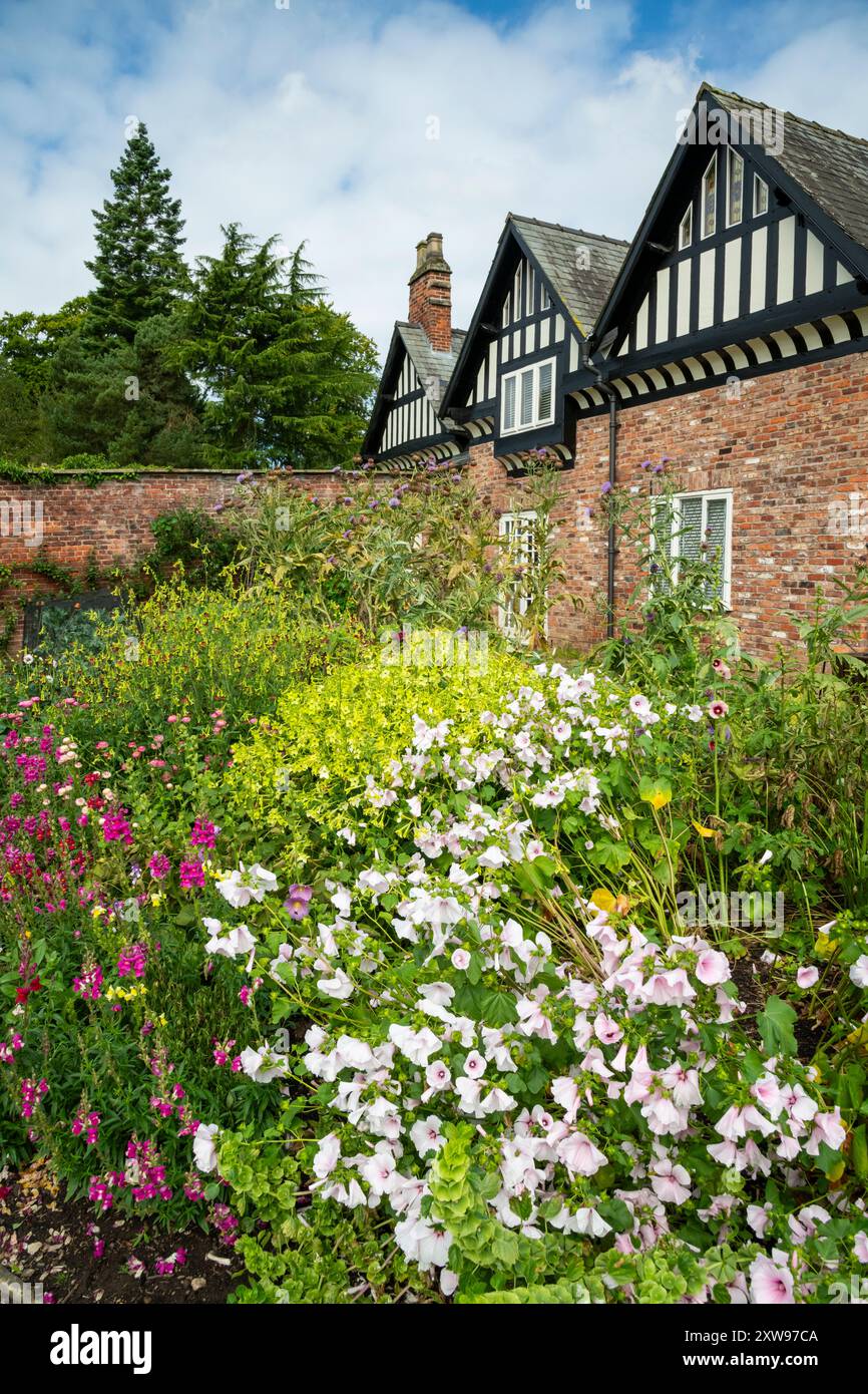 Annuelles d'été dans les jardins de Quarry Bank, Styal, Cheshire, Angleterre. Banque D'Images