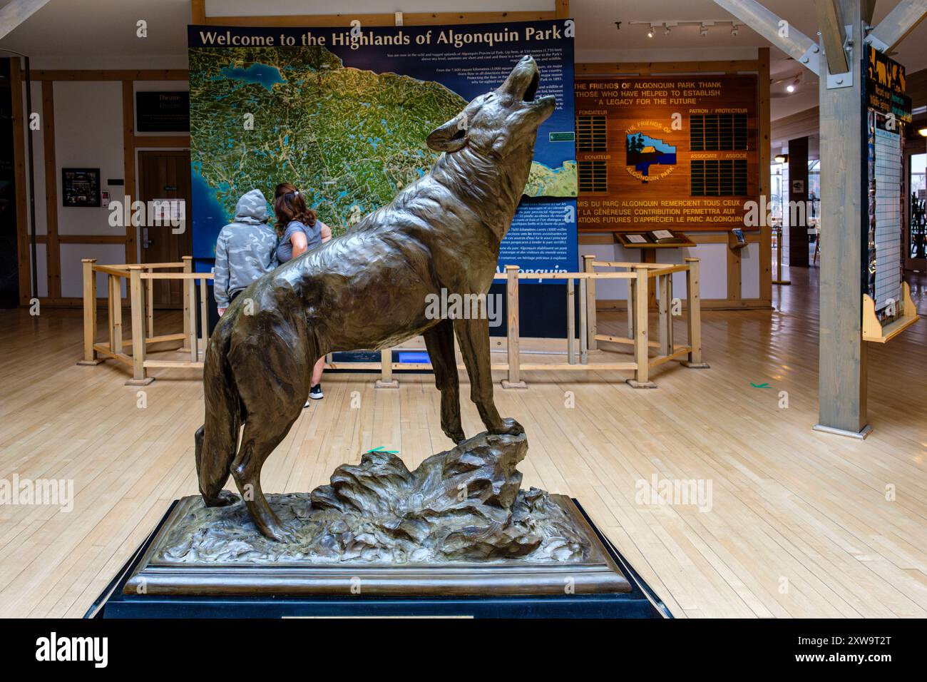 Statue de loup hurlant dans le hall d'entrée du centre d'accueil du parc provincial Algonquin, province de l'Ontario, Canada Banque D'Images