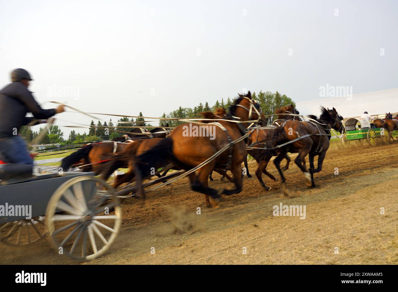 Chuckwagon course autour d'une piste dans une foire country en Saskatchewan Banque D'Images