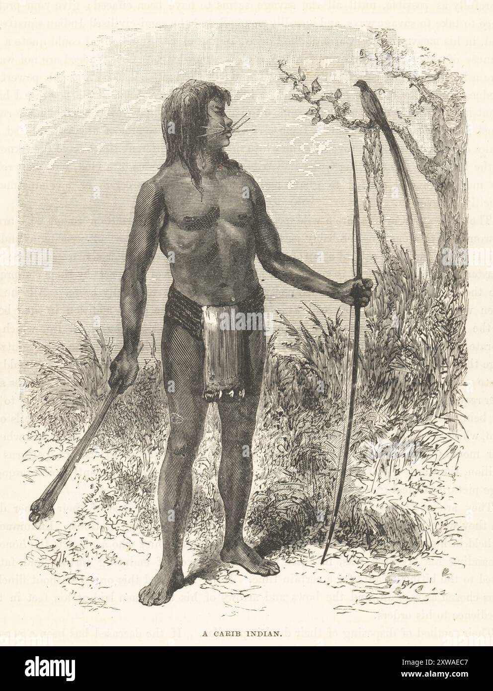 Carijona homme de Colombie avec piercings à lèvres, pagne, armé d'arc et de flèches. Peuples de langue caraïbe de River Japura et Rio Yari. Mesaya Man et son Dieu bueque. D'après une illustration d'Edouard Riou dans le voyage de Paul Marcoy à travers l'Amérique du Sud. Indien caraïbe. Gravure sur bois de Robert Brown les races de l’humanité, Cassell, Petter et Galpin, Londres, 1873. Banque D'Images