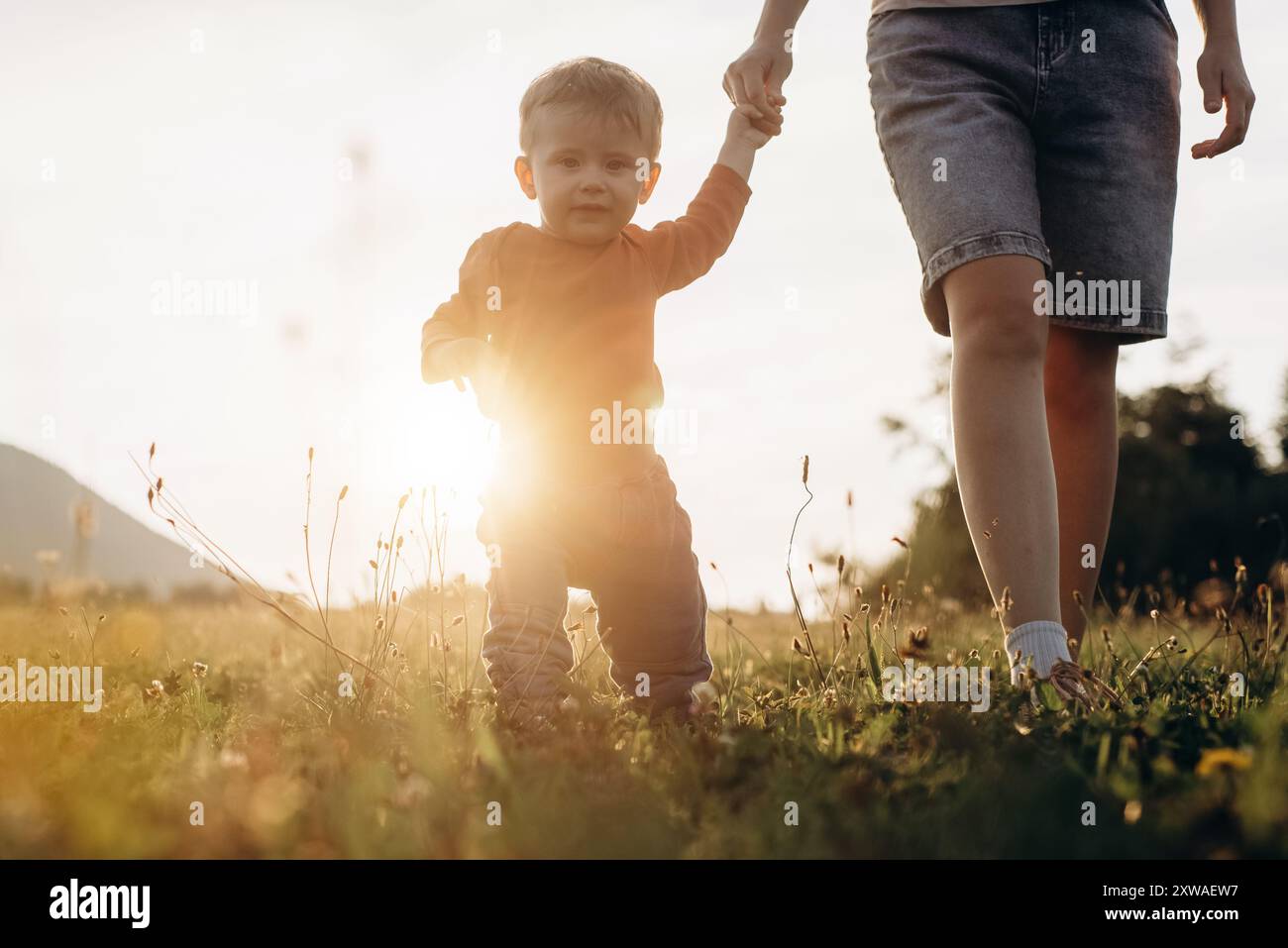 Joli petit garçon faisant les premiers pas dans le parc sur l'herbe de prairie au coucher du soleil chaud. La jeune mère soutient l'enfant pour apprendre à marcher en avant sur la montagne de fond Banque D'Images