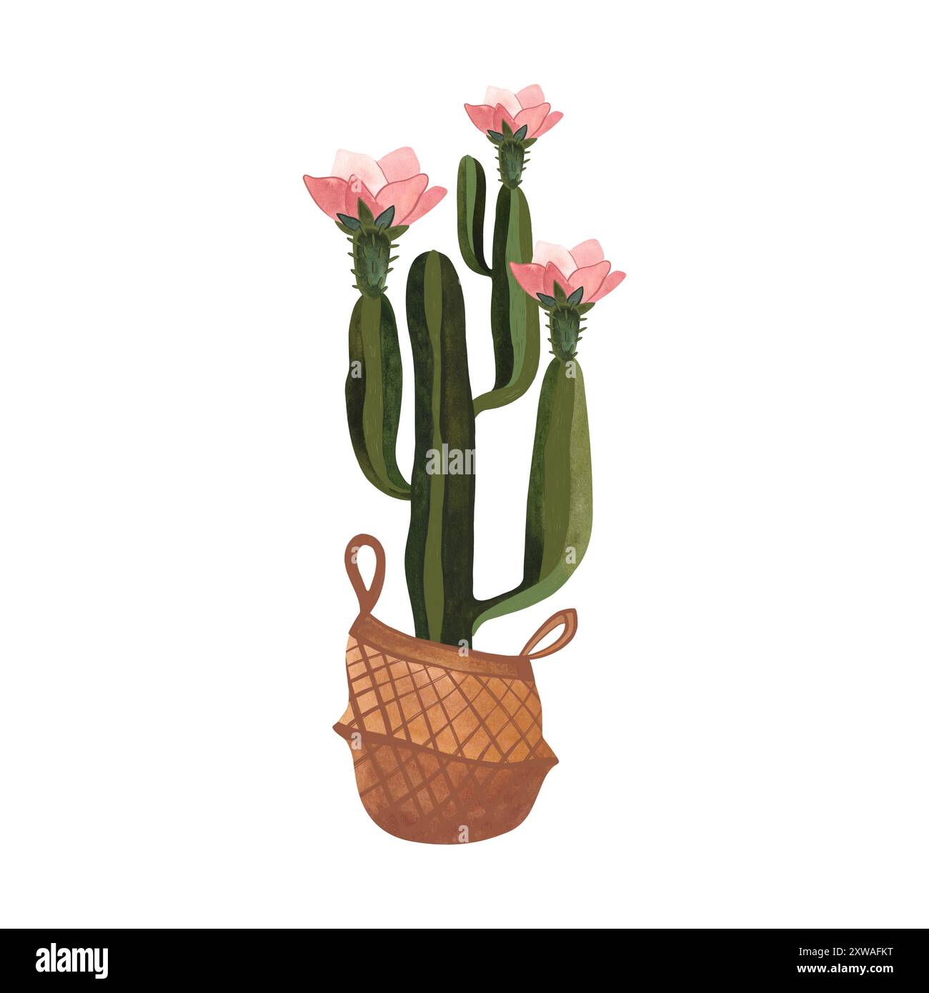 Cactus dans un panier en osier. Plantes pour la maison. Floriculture. Décoration intérieure. Illustration d'aquarelle isolée sur fond blanc. Clipart. Banque D'Images