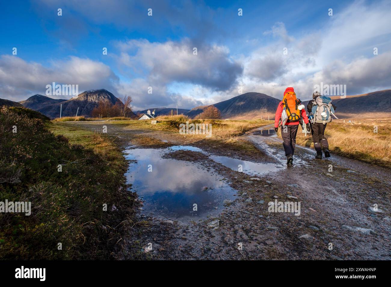 Randonneurs en trek, Glen Coe Valley, Lochaber Geopark, Highlands, Écosse, Royaume-Uni Banque D'Images