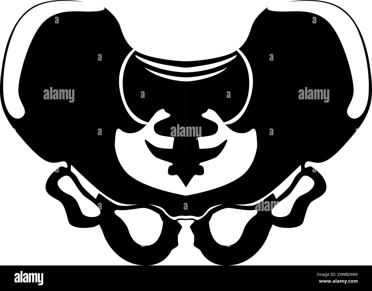 Structure osseuse pelvienne. Silhouette noire d'articulation squelettique humaine Illustration de Vecteur