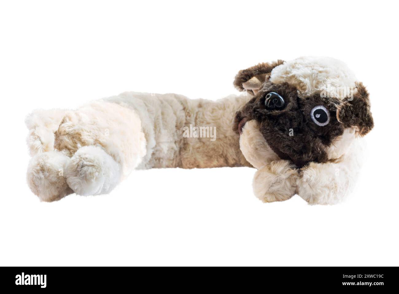 exclusion de tirage de chien jouet mignon pelucheux isolé sur fond blanc Banque D'Images