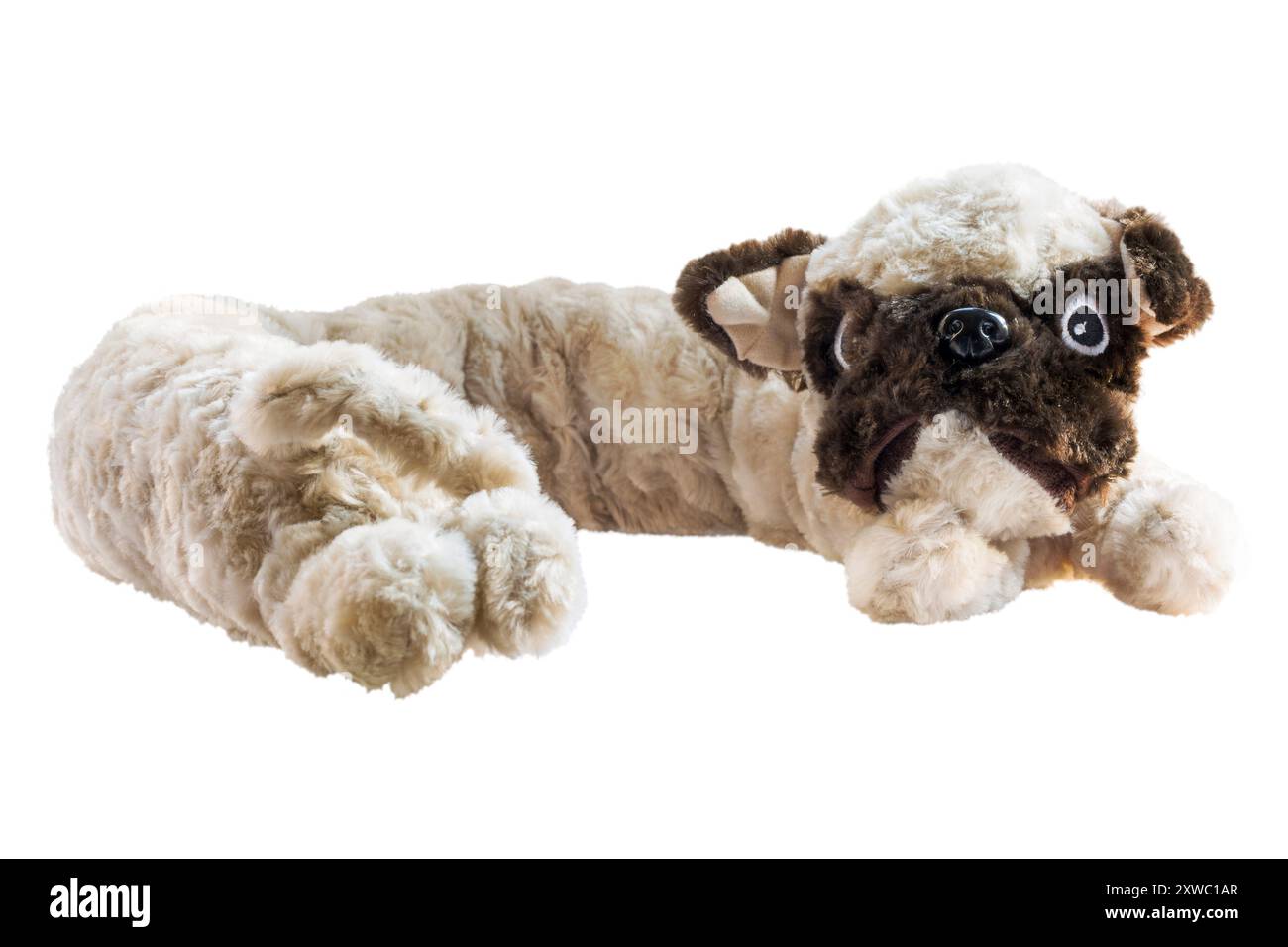 exclusion de tirage de chien jouet mignon pelucheux isolé sur fond blanc Banque D'Images