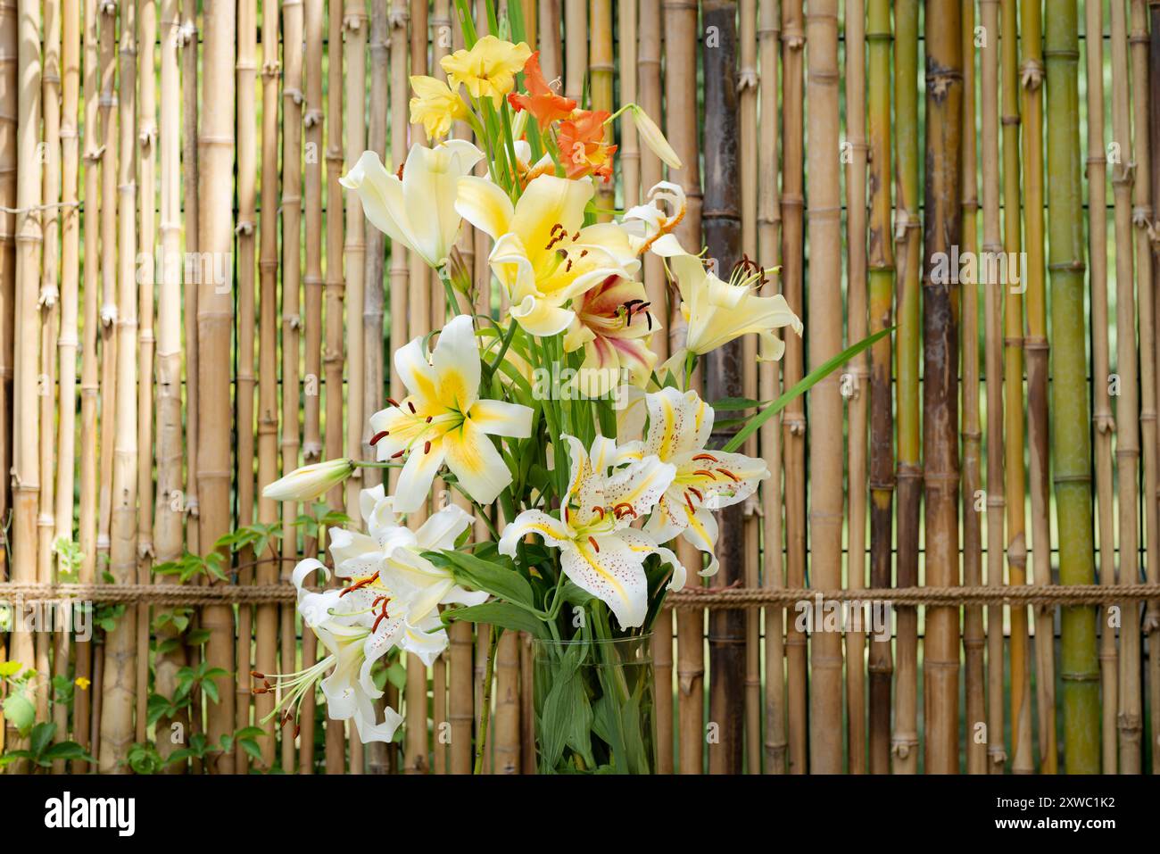 Bouquet de lys jaunes et oranges, lys Auratum, lys Conca d'Or, lys Mister cas, lys Lavon et glaïeuls, (jardin du ruisseau de l'église 2024) Banque D'Images