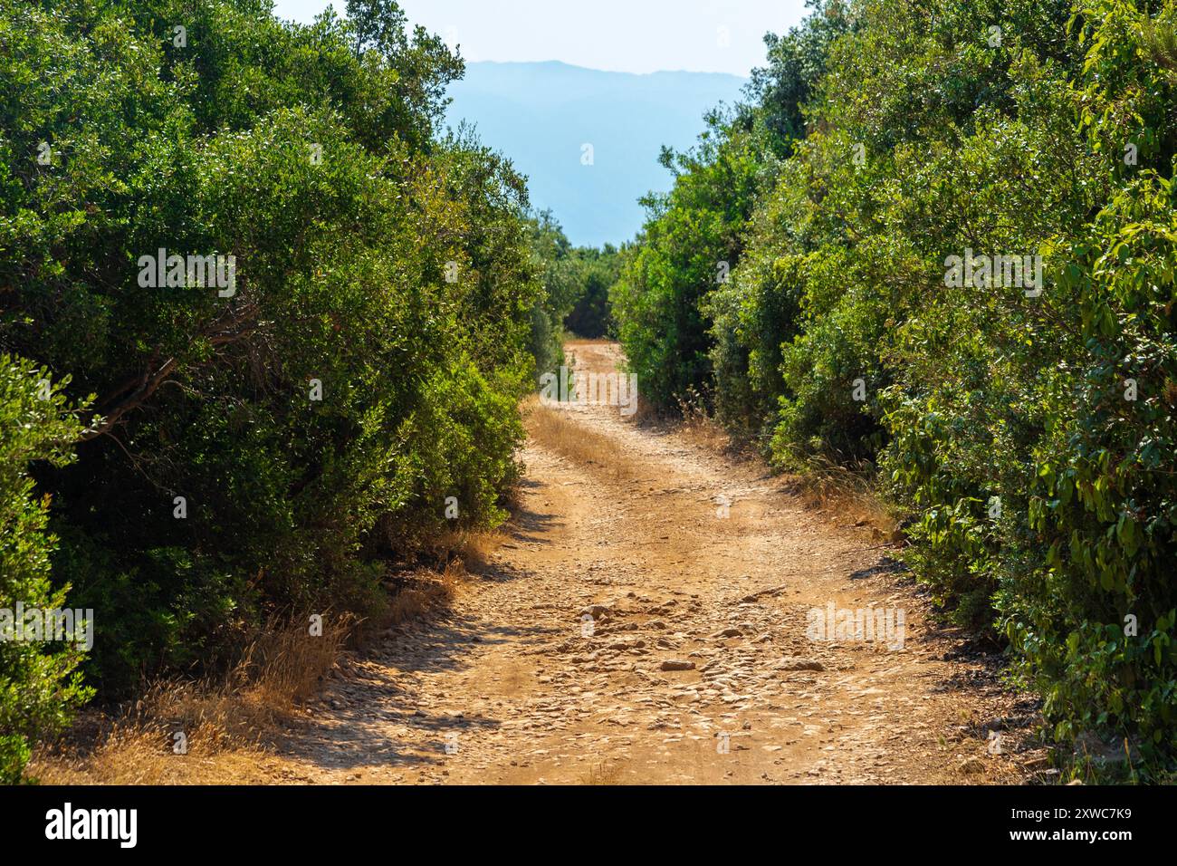 La péninsule de Karaburun en Albanie près de la ville de Vlore. Un hotspots touristiques pour des excursions d'une journée pour nager dans les eaux cristallines et il marque le bord Banque D'Images