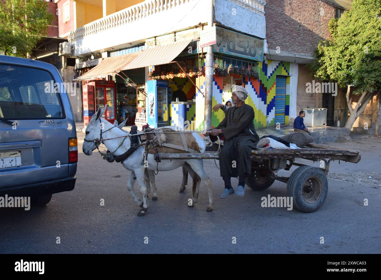 Vie quotidienne en Egypte rurale : homme sur un chariot d'âne Banque D'Images