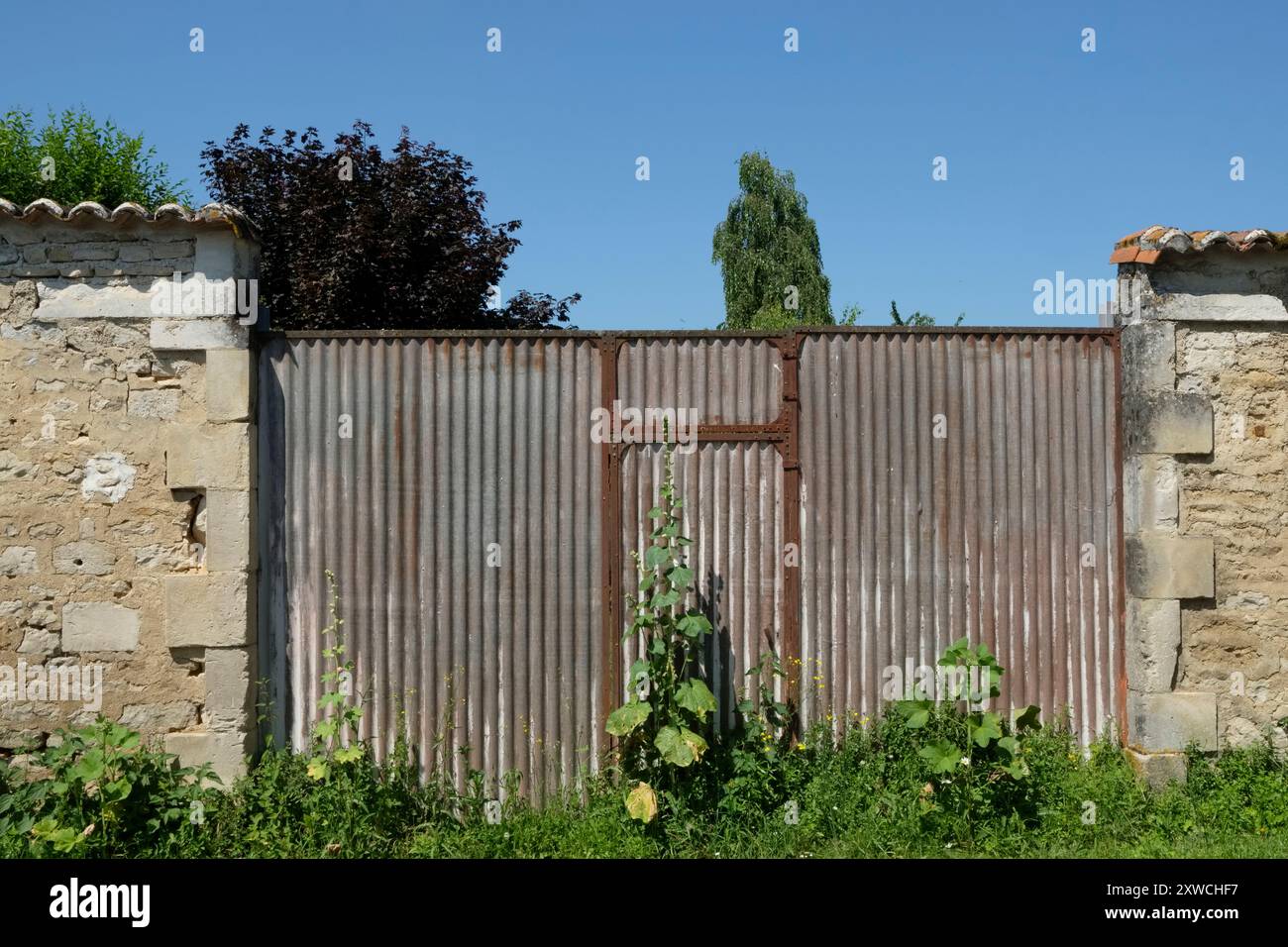 Clôture en tôle ondulée à Courcôme, département de la Charente, sud-ouest de la France été 2024. Banque D'Images