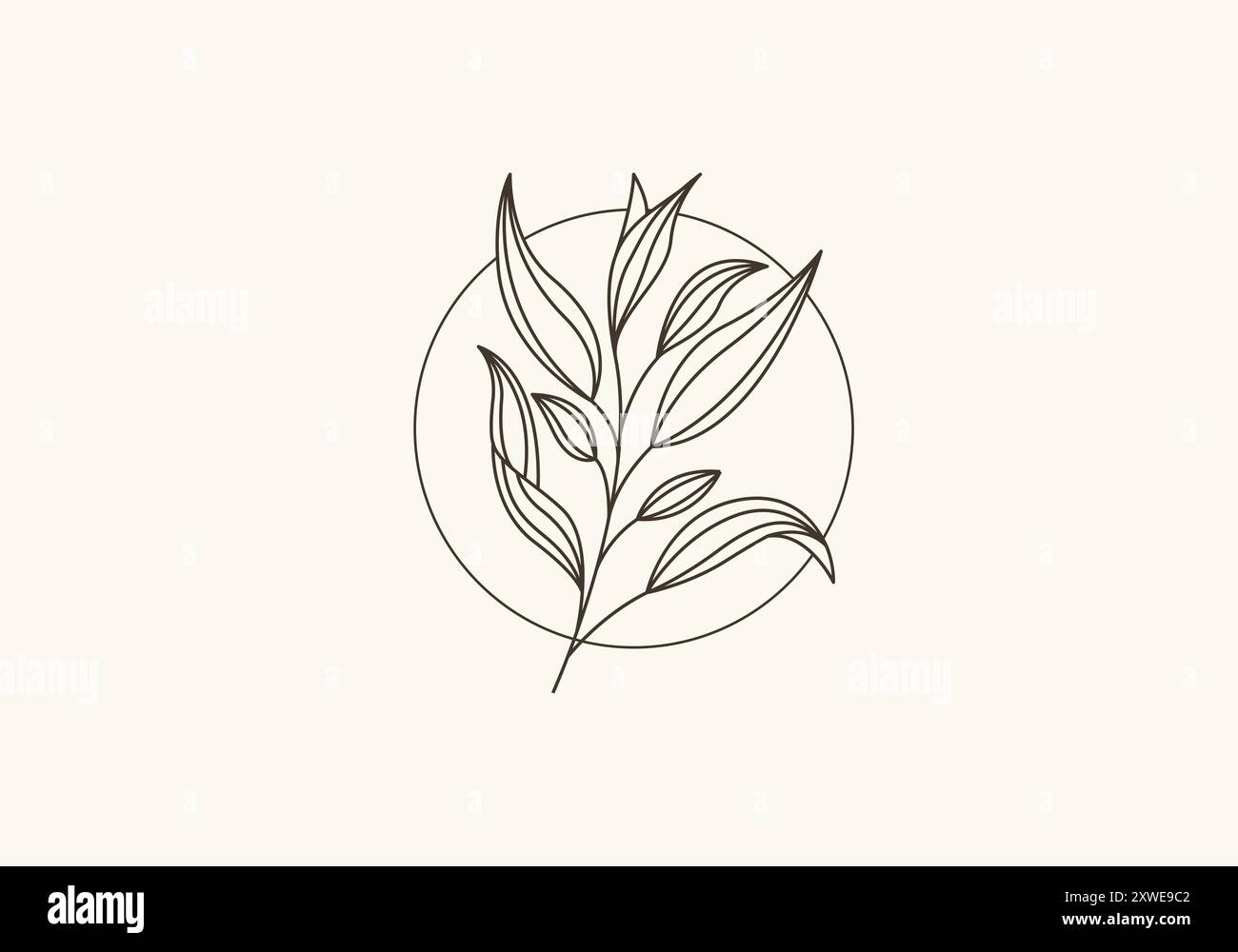 Logo Botanical Leaf and Vines Line minimaliste, Floral logo moderne et simple. Fichier modifiable Illustration de Vecteur