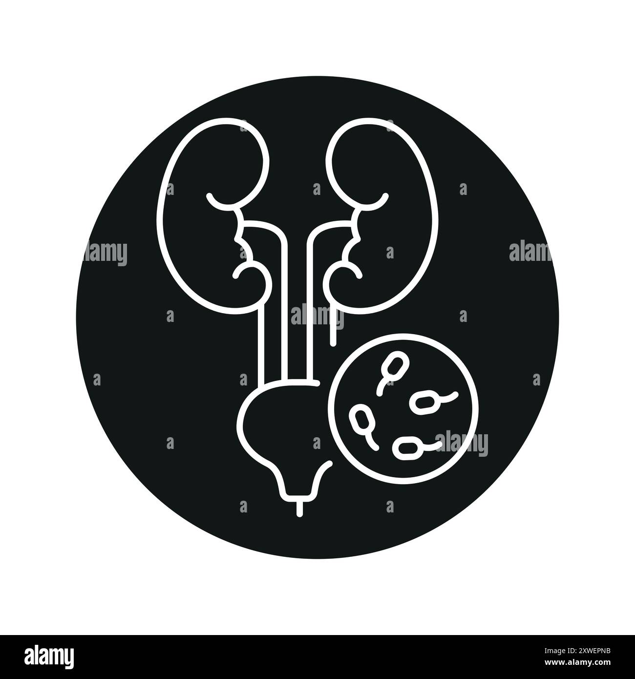 Icône noire de ligne d'infection urinaire. Signe de maladie humaine pour page web, application mobile, bouton, logo. Bouton isolé de vecteur. Contour modifiable. Illustration de Vecteur