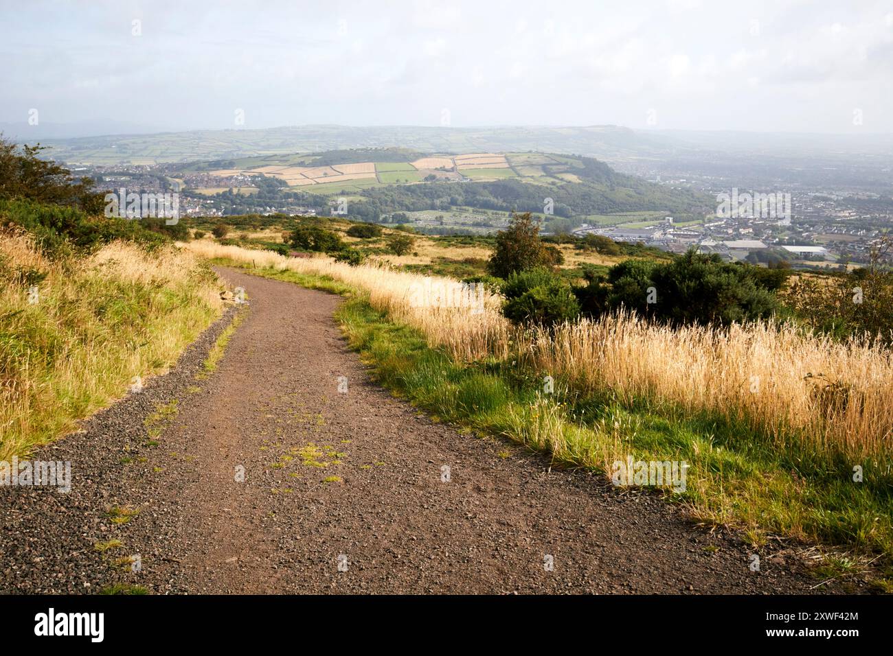 vues depuis la colline collinward dans le bois de glas-na-bradan newtownabbey, comté d'antrim, irlande du nord, royaume-uni Banque D'Images