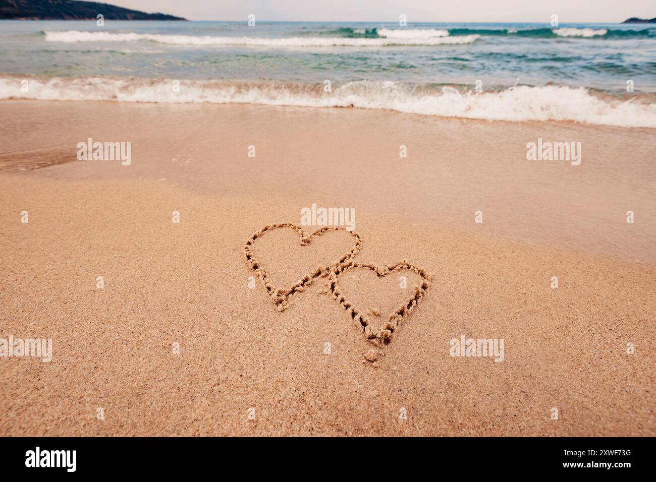 L'inscription je t'aime sur le bord de mer avec des palmiers Banque D'Images