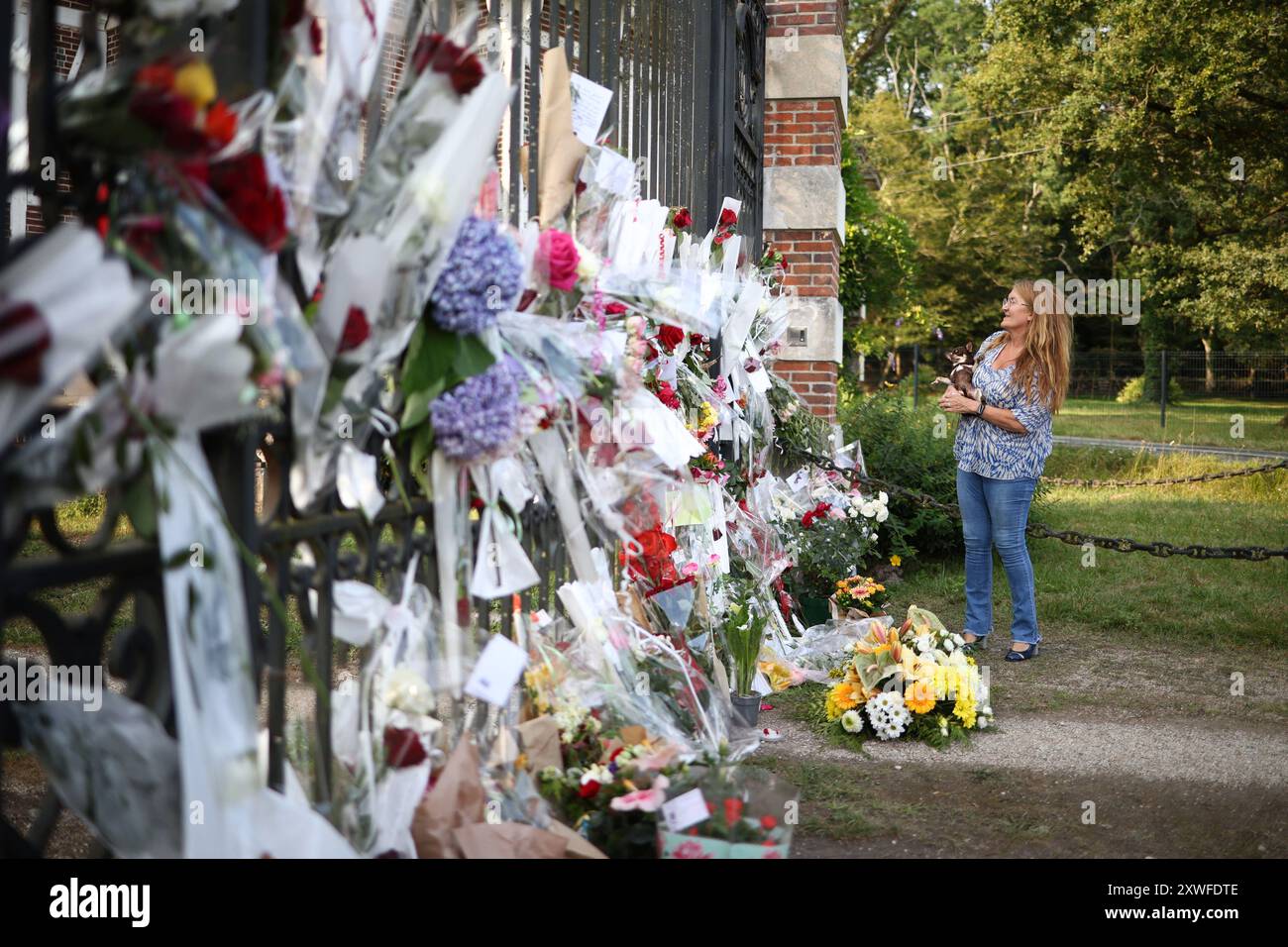 Douchy, France. 19 août 2024. Fleurs à la mémoire de l'acteur français Alain Delon à l'entrée de sa résidence à Douchy-Montcorbon, France, le 19 août 2024. Delon meurt le 18 août 2024, à l'âge de 88 ans. Photo Raphael Lafargue/ABACAPRESS. COM Credit : Abaca Press/Alamy Live News Banque D'Images