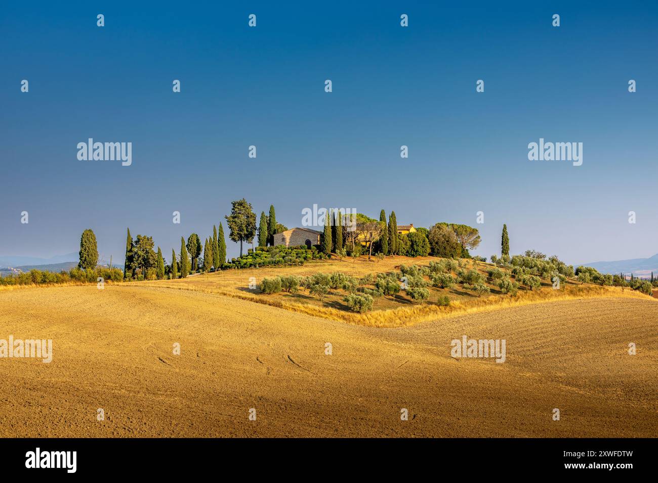 Asciano, Italie - 25 juillet 2023 : paysage toscan. L'un des endroits les plus célèbres de Toscane, près d'Asciano (Sienne). Italie Banque D'Images