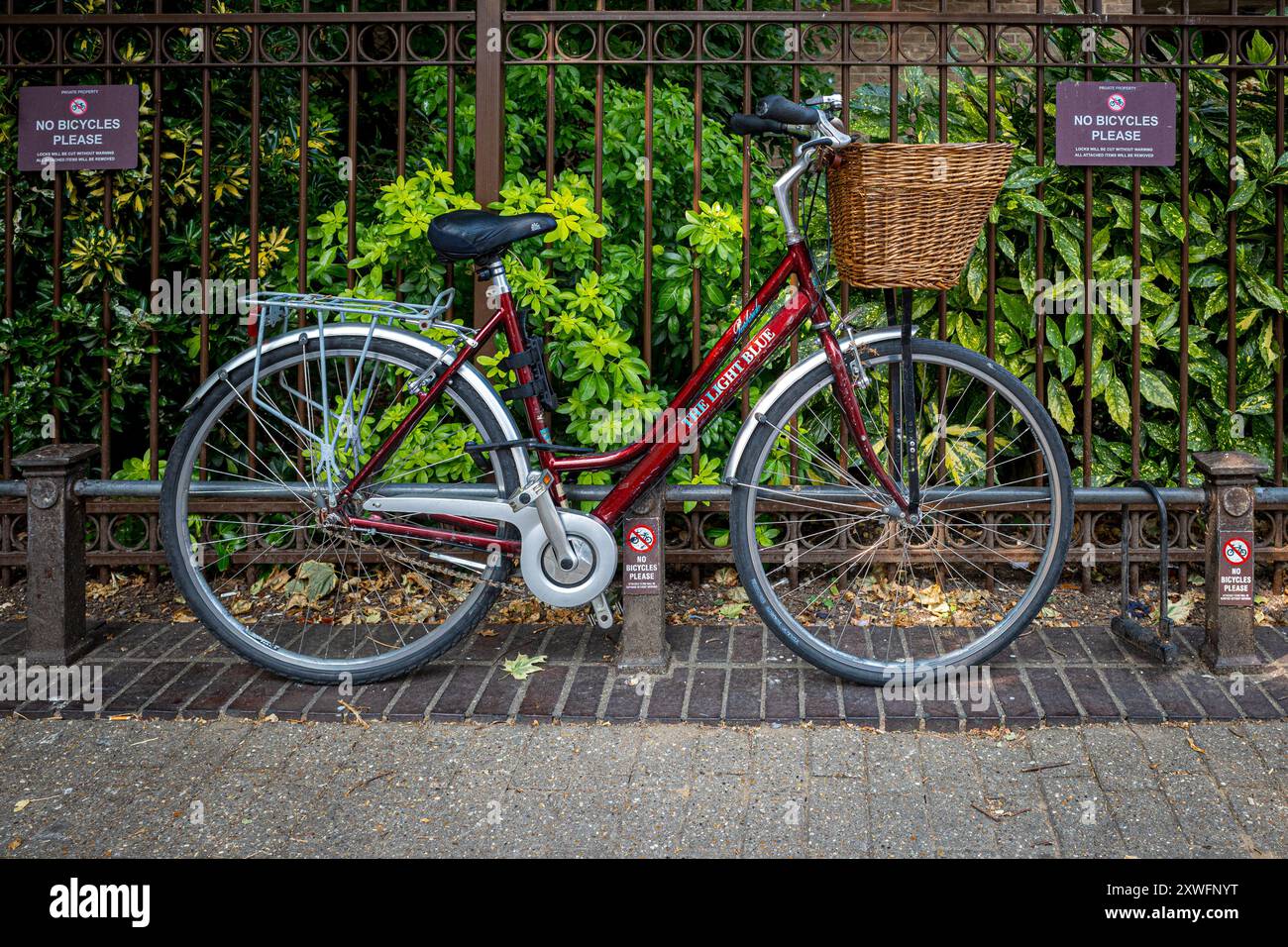 Parking vélo dans la rue. Vélo attaché à un bar bas dans une rue à Cambridge Royaume-Uni ignorant aucun avis de vélo. Parking à vélos Cambridge. Banque D'Images