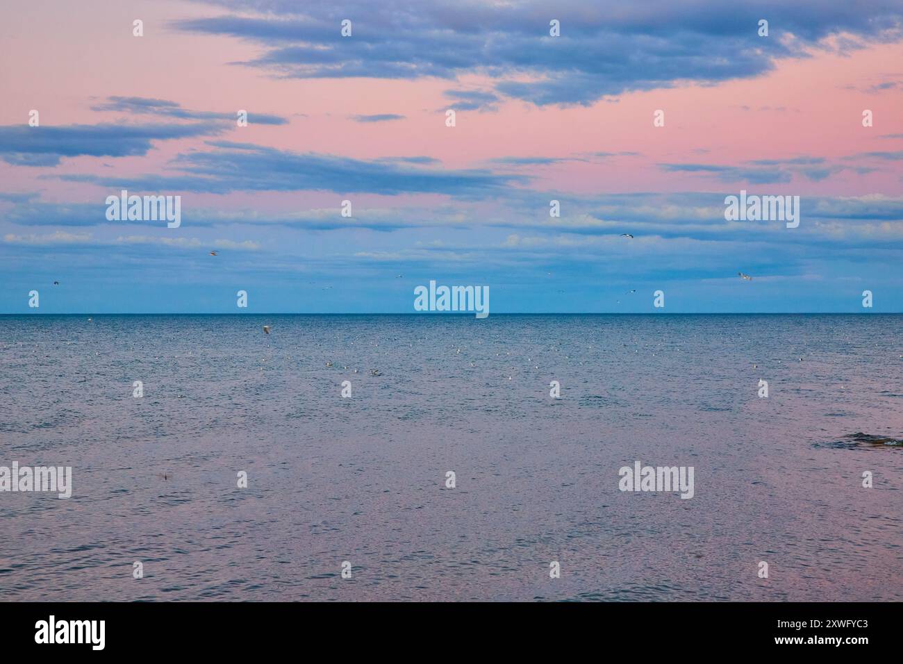 Coucher de soleil tranquille sur le lac Michigan avec Birds in Motion au niveau des yeux Banque D'Images