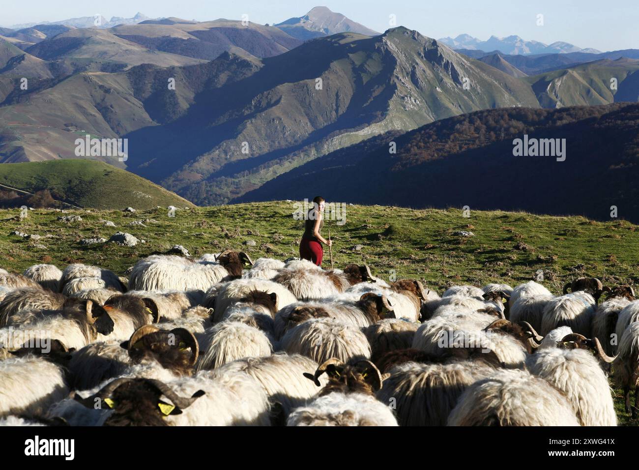 PYRENEES ATLANTIQUES, (64), PAYS BASQUE, SAINT MICHEL, DANS LES PRINCIPAUX, AU-DESSUS DE SAINT-JEAN-PIED-DE-PORT, SUR LE CHEMIN DE ST JACQUES DE COMPOST Banque D'Images