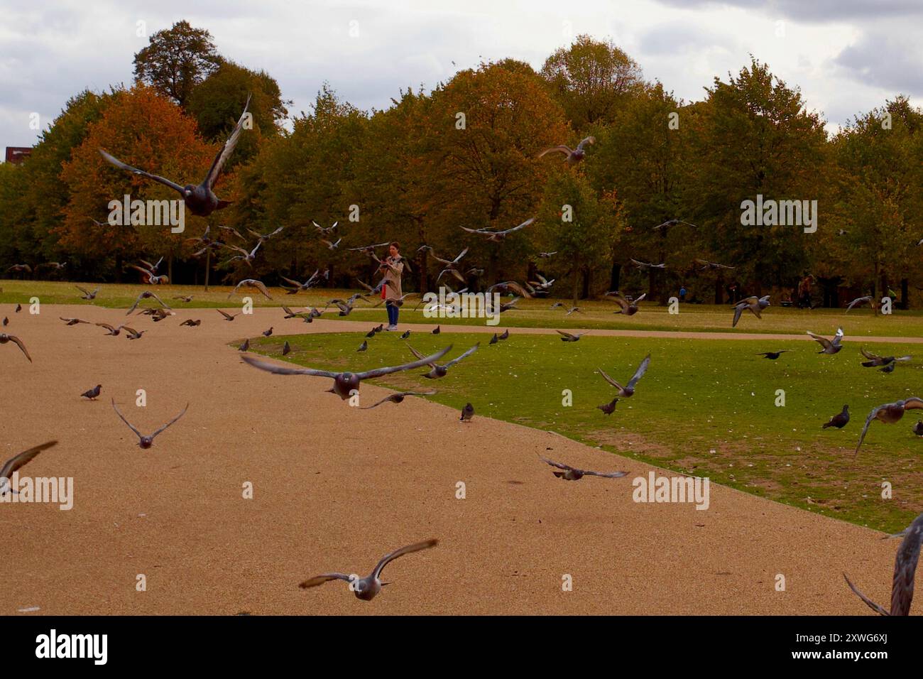 Kensington Gardens, Kensington, Royal Borough of Kensington and Chelsea, Londres, Angleterre. Banque D'Images