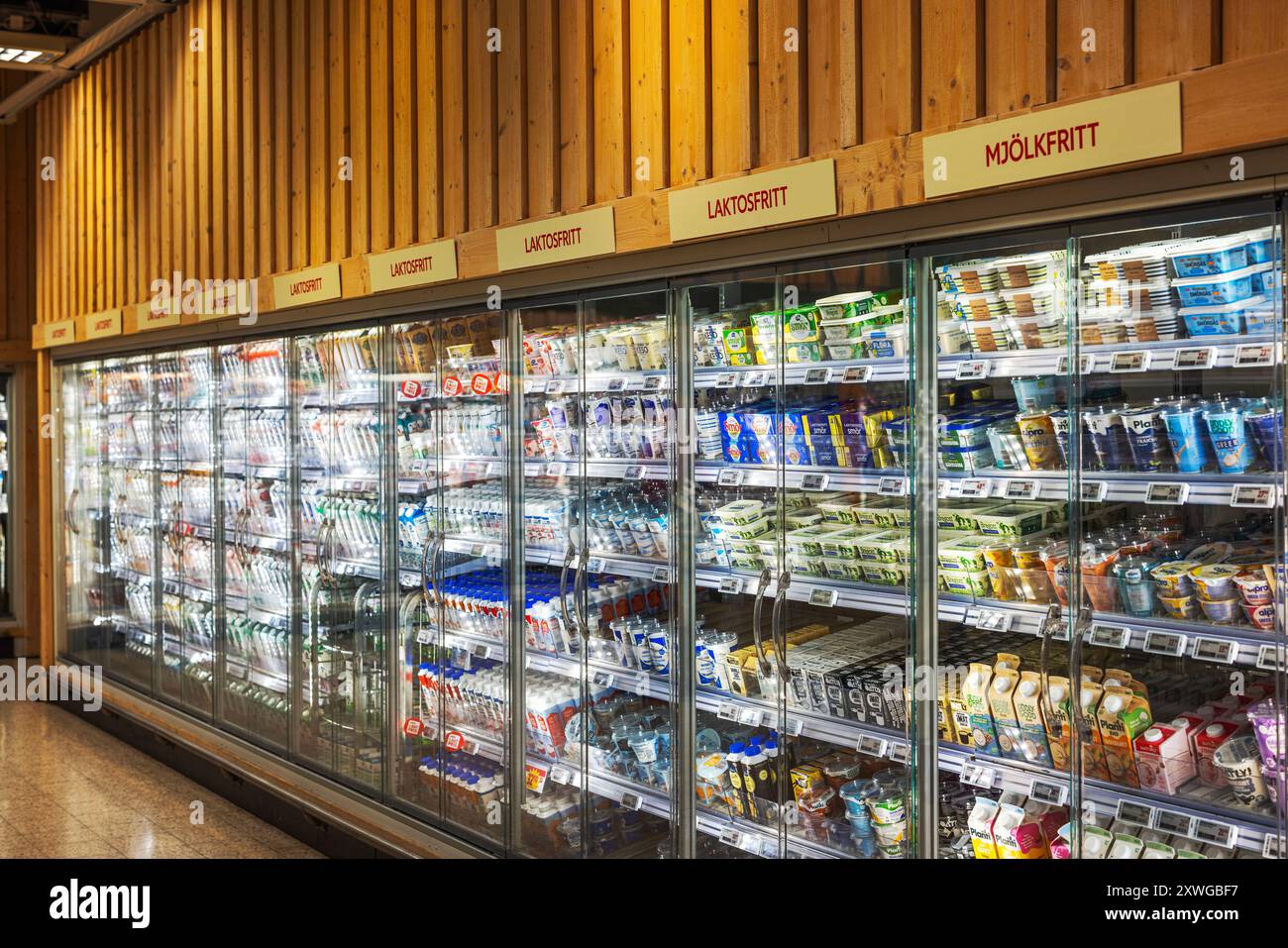 Section réfrigérée de l'épicerie présentant une variété de produits laitiers et sans lactose soigneusement organisés dans des réfrigérateurs à portes vitrées. Suède. Banque D'Images