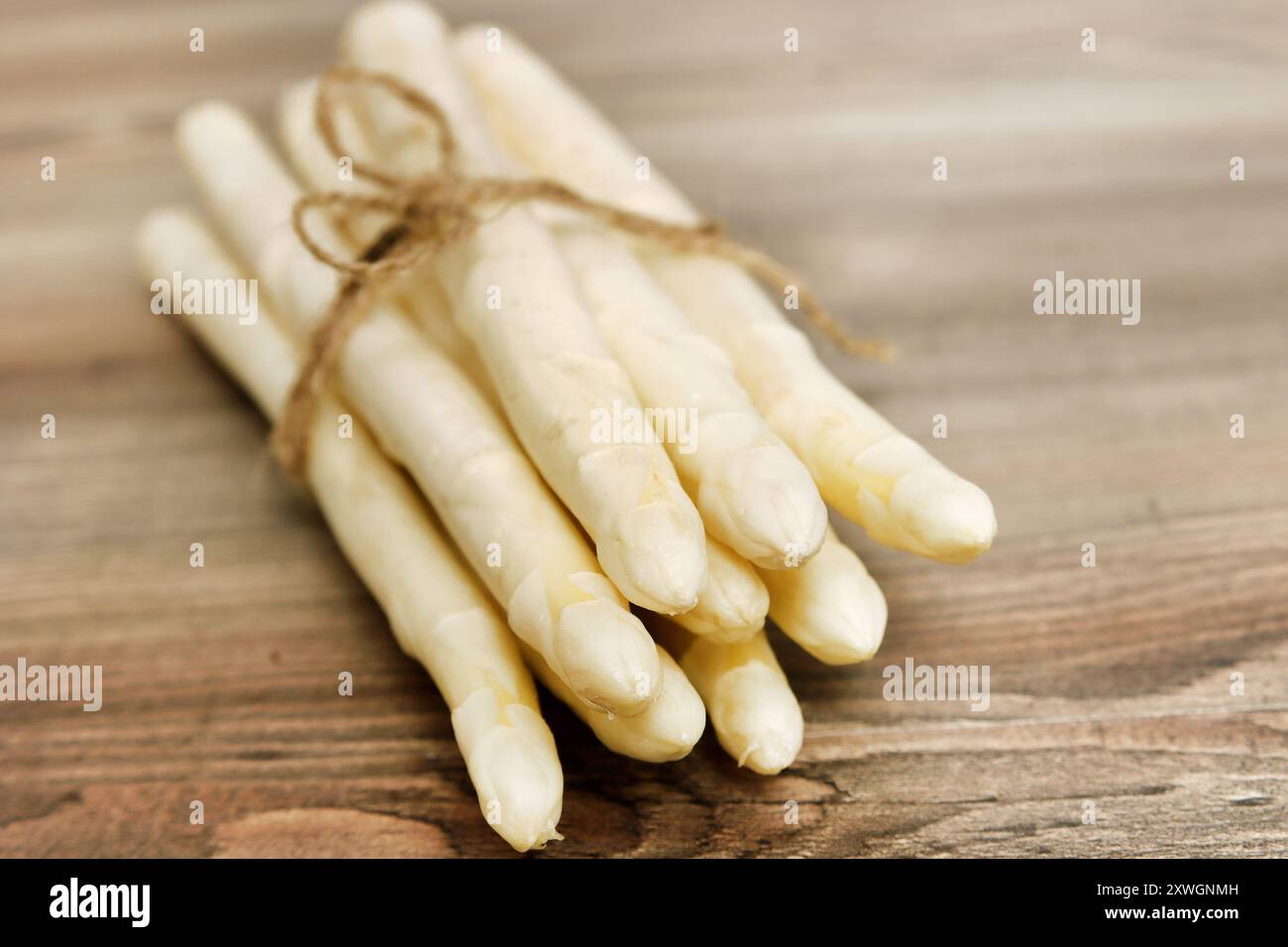 Asperges de jardin, gras de moineau, asperges sauvages (Asparagus officinalis), asperges blanches fraîchement récoltées Banque D'Images