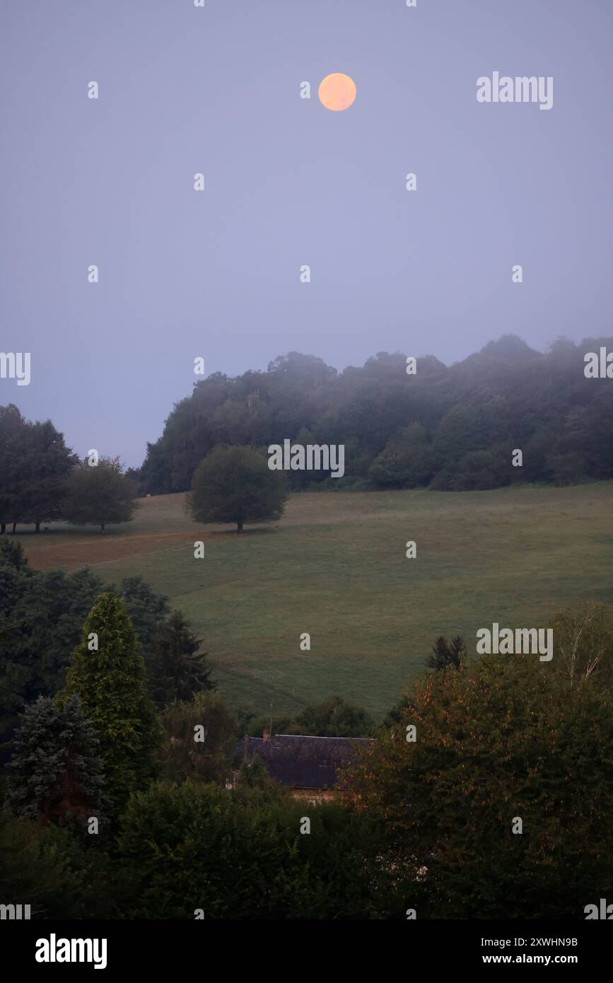 Limousin, France. 20 août 2024. Super Blue Moon (pas nécessairement perçu comme bleu) vu de la campagne Limousin tard dans la nuit. Le terme « super Lune » a été inventé par l'astrologue Richard Nolle en 1979 pour désigner une pleine lune qui se produit lorsque la Lune est à 90% de son approche la plus proche de la Terre. Alors que l'étoile se trouve à une distance moyenne de 384 400 km de la Terre, elle est située à environ 363 000 km de notre planète. La Lune apparaît donc 14% plus grande et 30% plus lumineuse que d'habitude. Crédit : photo de Hugo Martin/Alamy Live News. Banque D'Images