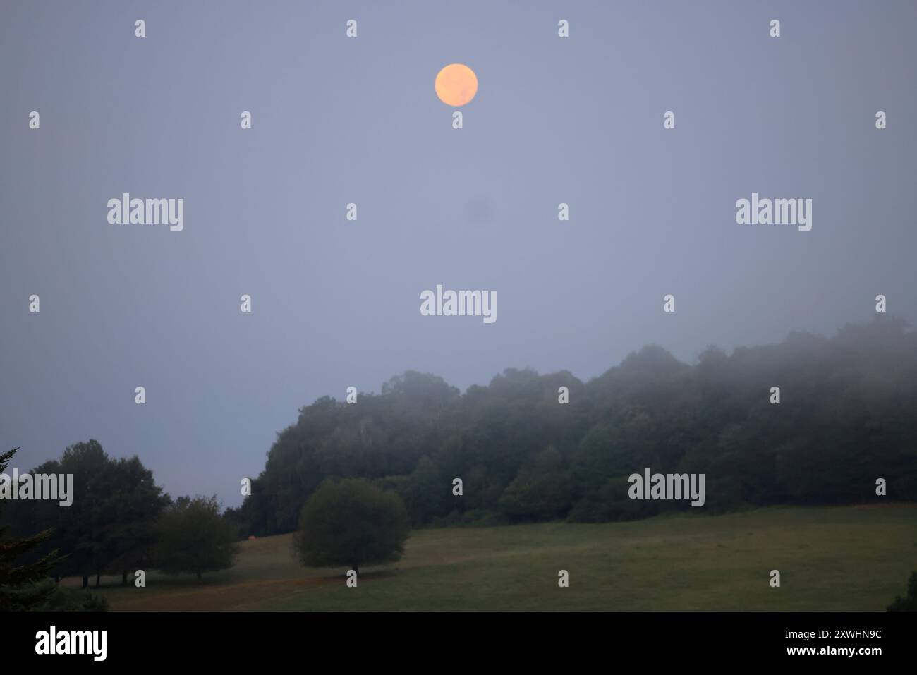 Limousin, France. 20 août 2024. Super Blue Moon (pas nécessairement perçu comme bleu) vu de la campagne Limousin tard dans la nuit. Le terme « super Lune » a été inventé par l'astrologue Richard Nolle en 1979 pour désigner une pleine lune qui se produit lorsque la Lune est à 90% de son approche la plus proche de la Terre. Alors que l'étoile se trouve à une distance moyenne de 384 400 km de la Terre, elle est située à environ 363 000 km de notre planète. La Lune apparaît donc 14% plus grande et 30% plus lumineuse que d'habitude. Crédit : photo de Hugo Martin/Alamy Live News. Banque D'Images