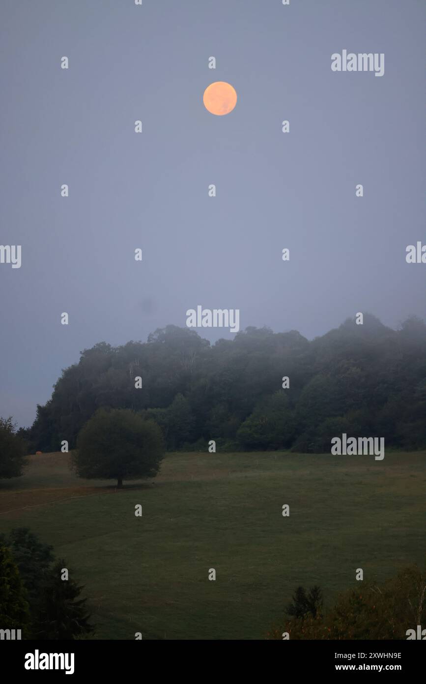 Limousin, France. 20 août 2024. Super Blue Moon (pas nécessairement perçu comme bleu) vu de la campagne Limousin tard dans la nuit. Le terme « super Lune » a été inventé par l'astrologue Richard Nolle en 1979 pour désigner une pleine lune qui se produit lorsque la Lune est à 90% de son approche la plus proche de la Terre. Alors que l'étoile se trouve à une distance moyenne de 384 400 km de la Terre, elle est située à environ 363 000 km de notre planète. La Lune apparaît donc 14% plus grande et 30% plus lumineuse que d'habitude. Crédit : photo de Hugo Martin/Alamy Live News. Banque D'Images