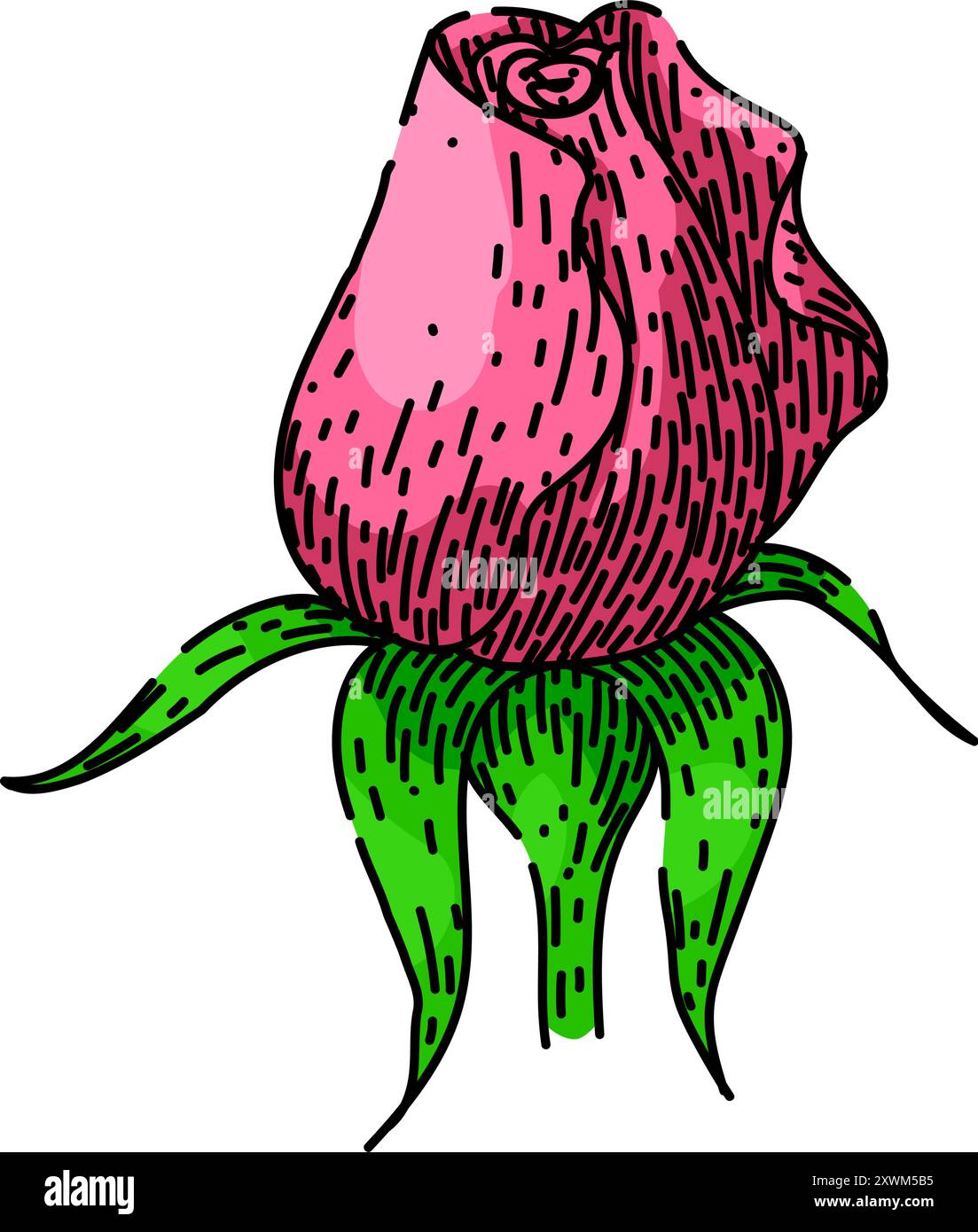 bloom rose fleur esquisse de vecteur dessiné à la main Illustration de Vecteur