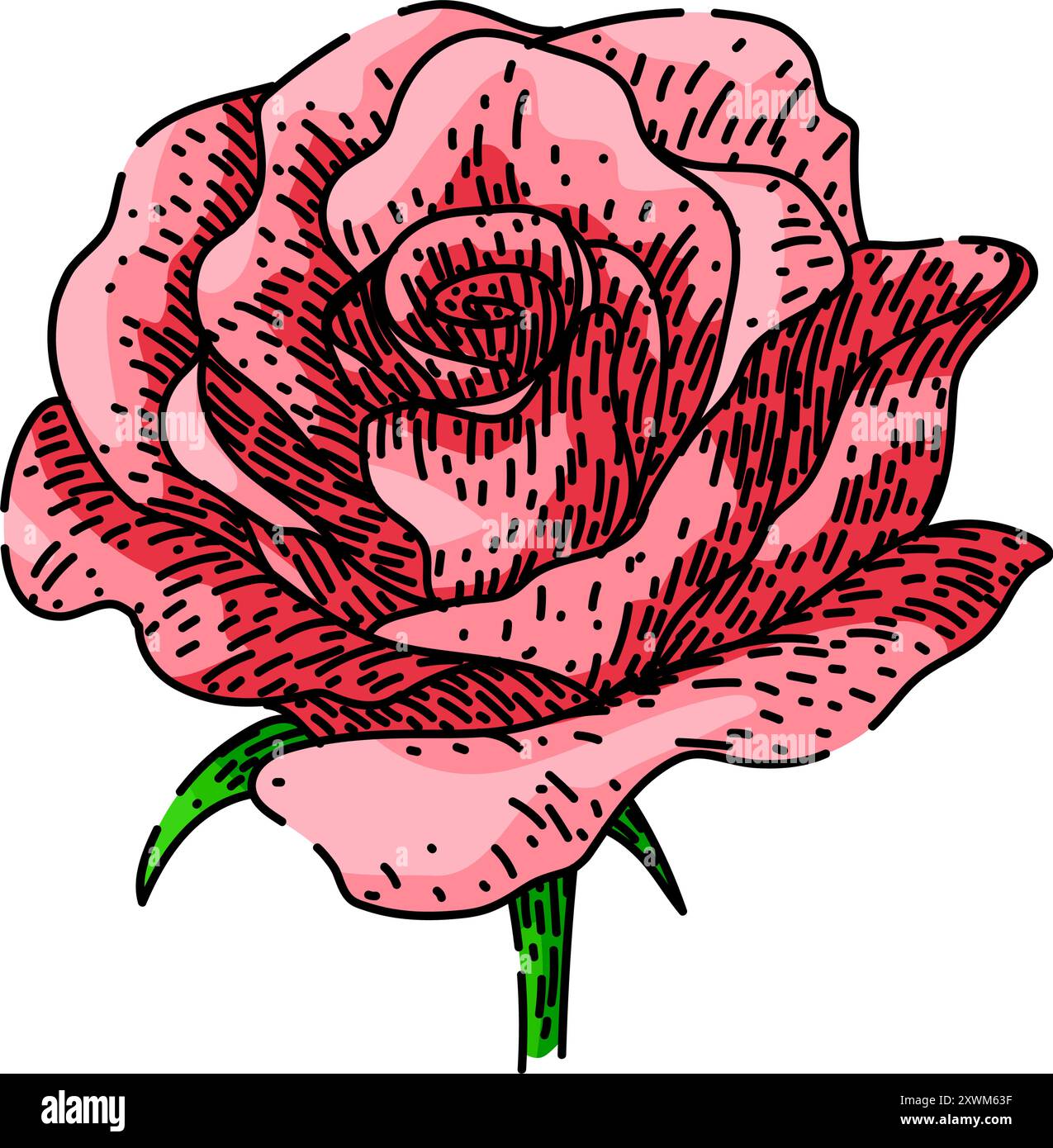 vecteur dessiné à la main par esquisse de fleur de rose de parfum Illustration de Vecteur
